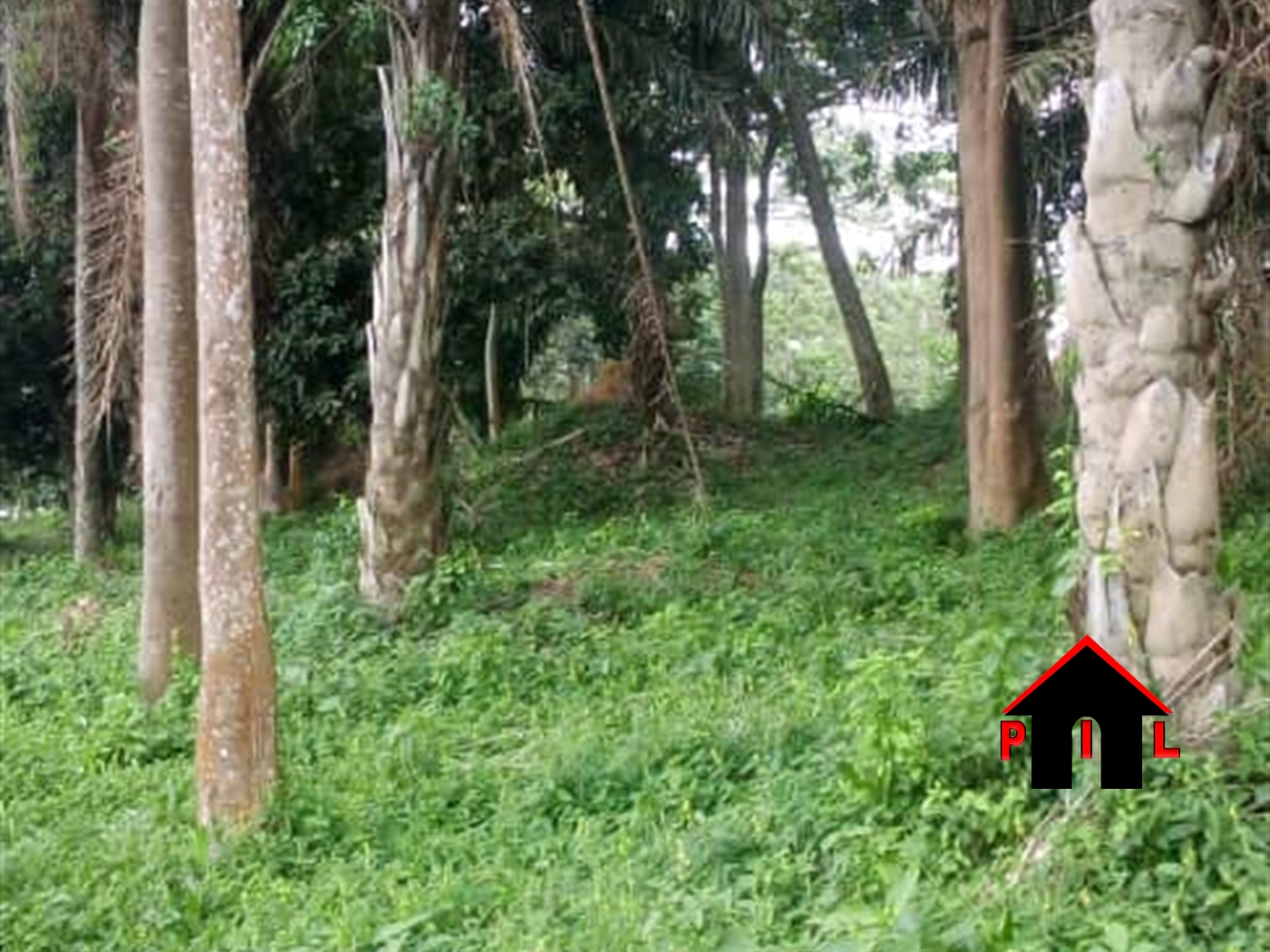 Commercial Land for sale in Busaka Wakiso