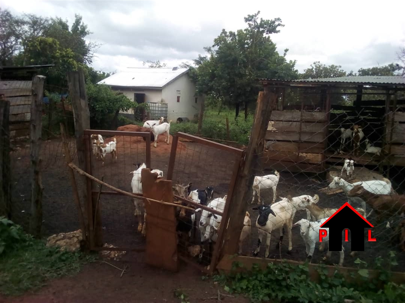 Farm for sale in Kasana Luweero