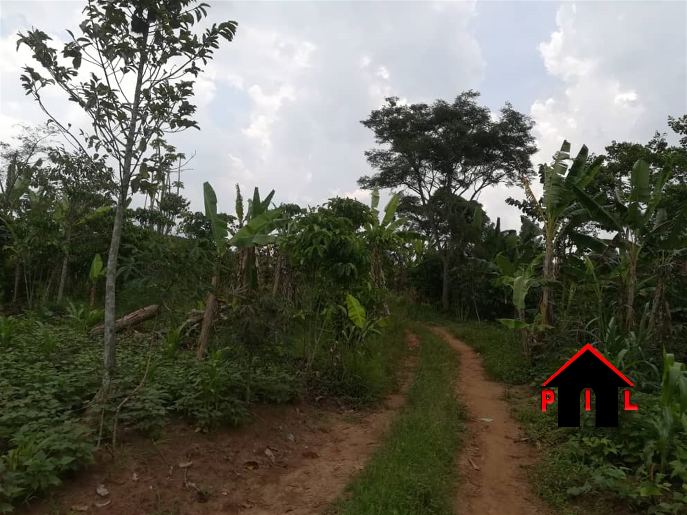 Residential Land for sale in Mwera Hoima