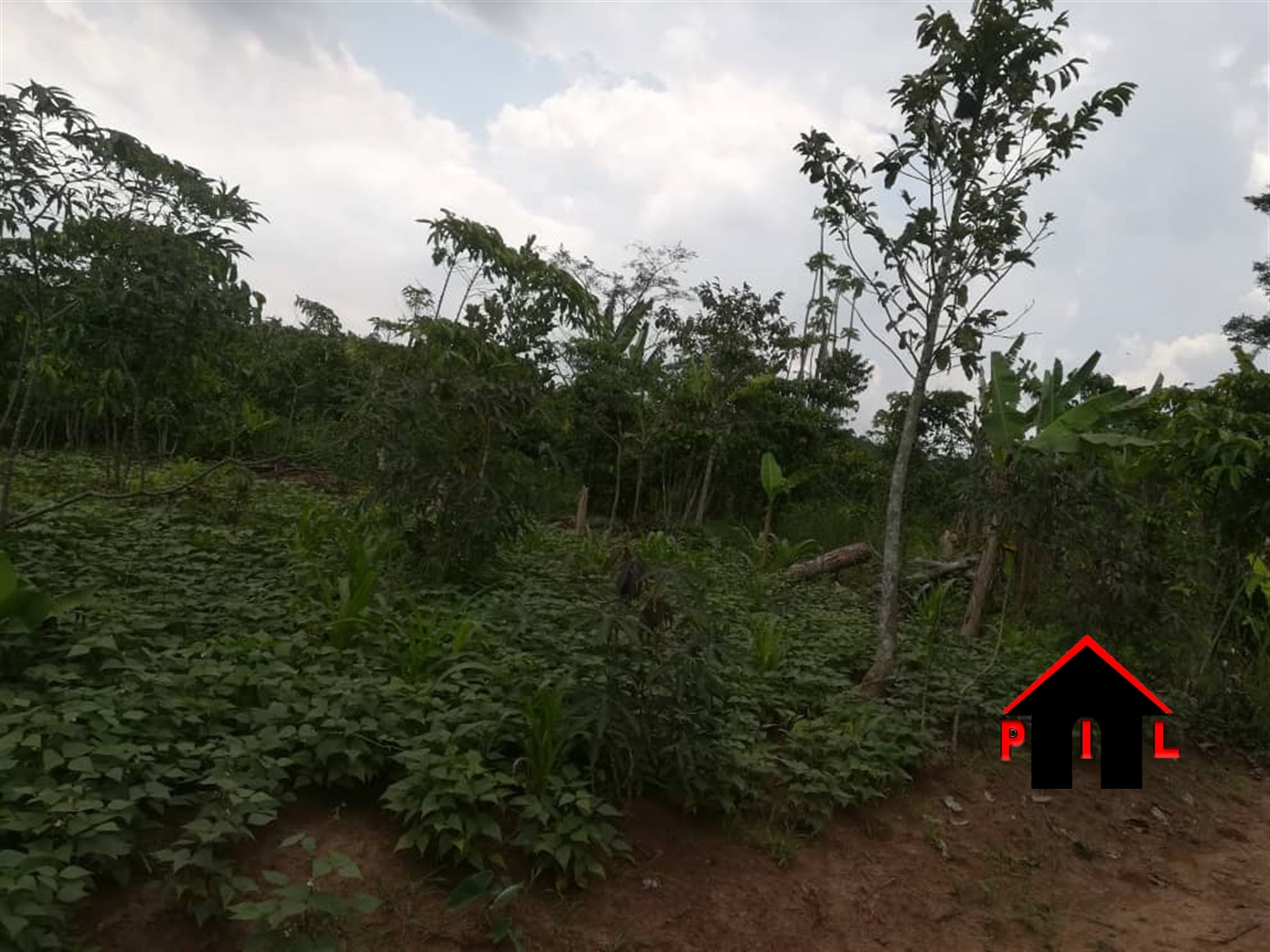 Residential Land for sale in Mwera Hoima