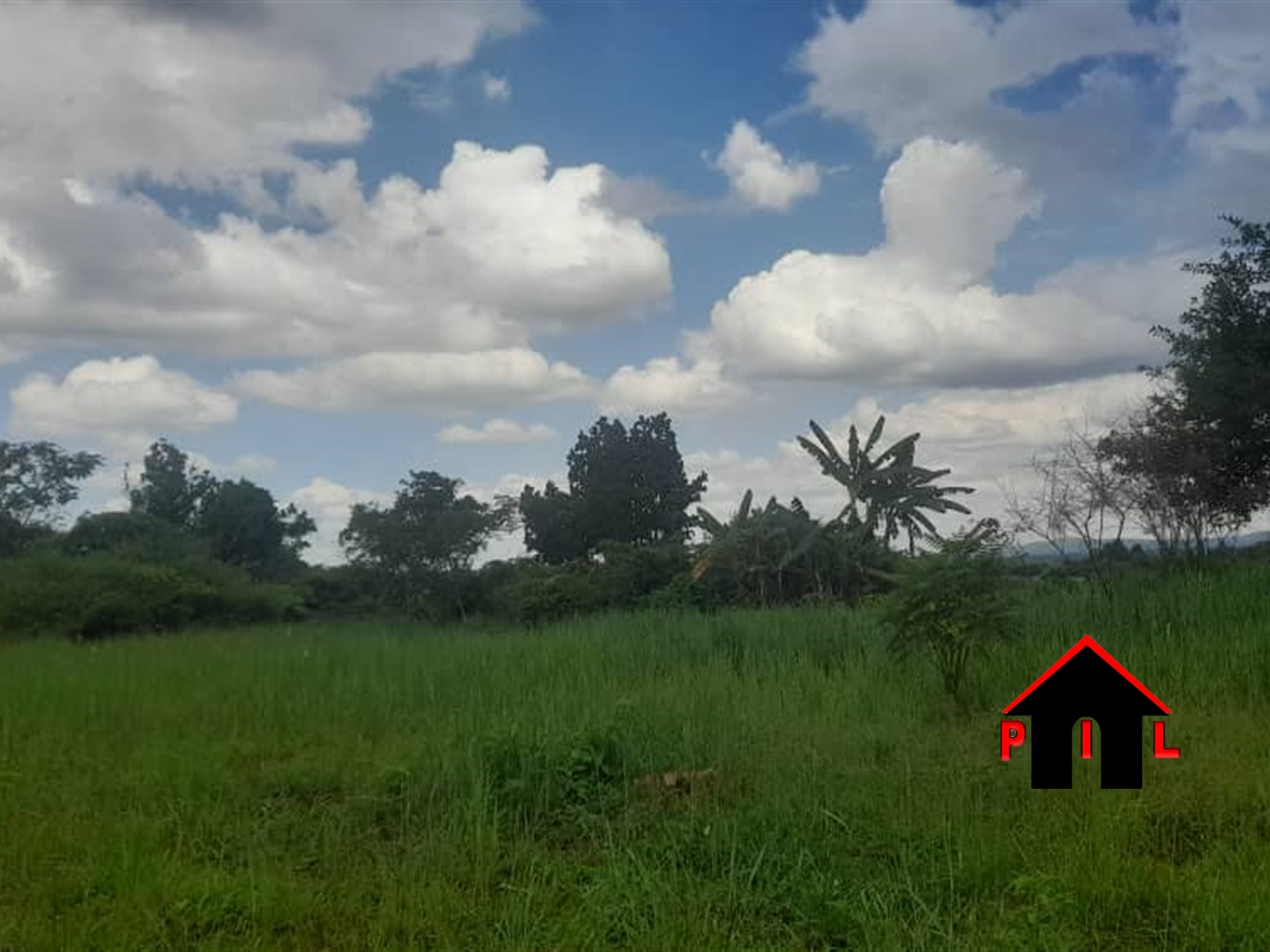 Commercial Land for sale in Yandwe Luweero