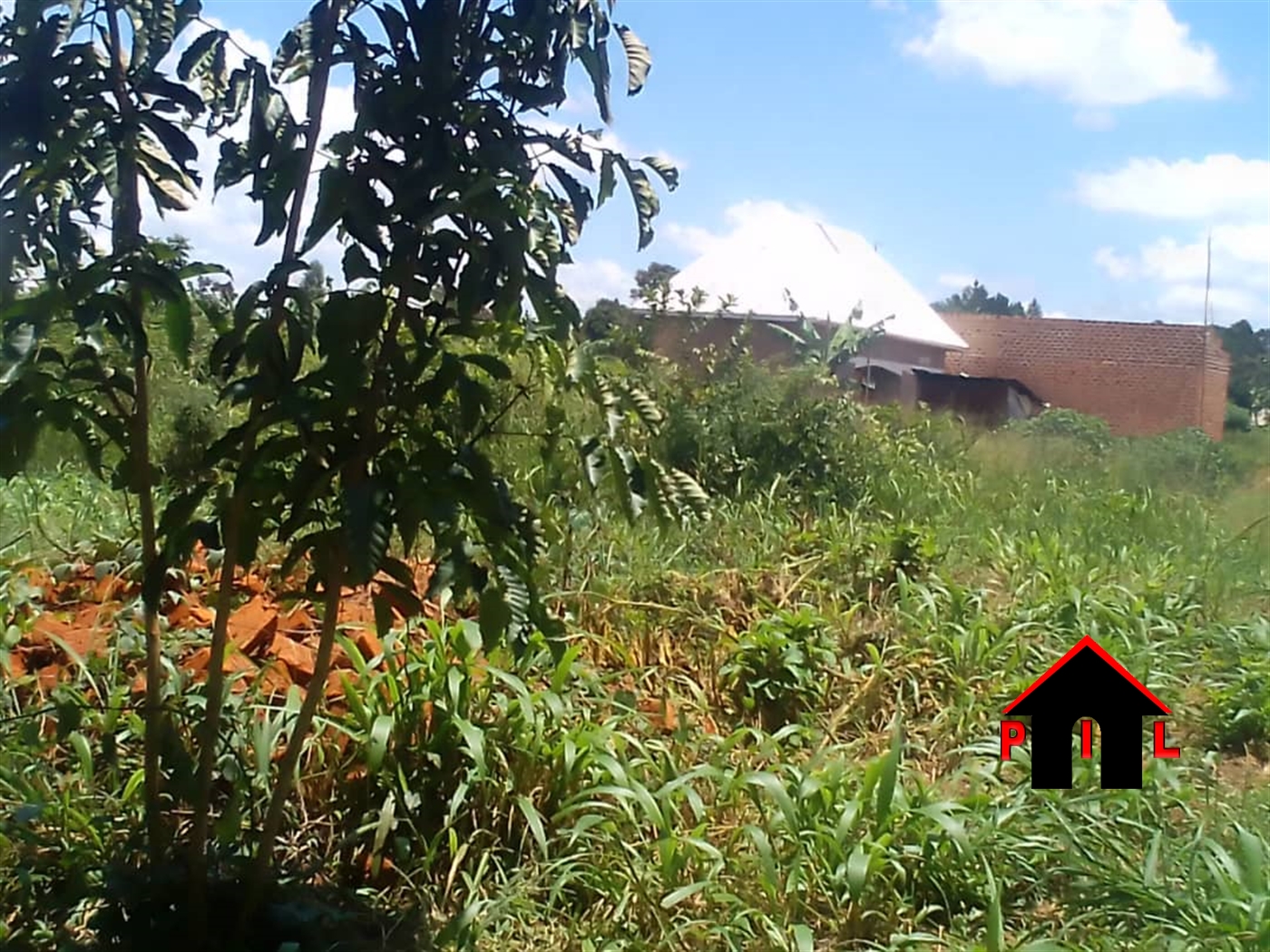 Commercial Land for sale in Ndibulungi Luweero