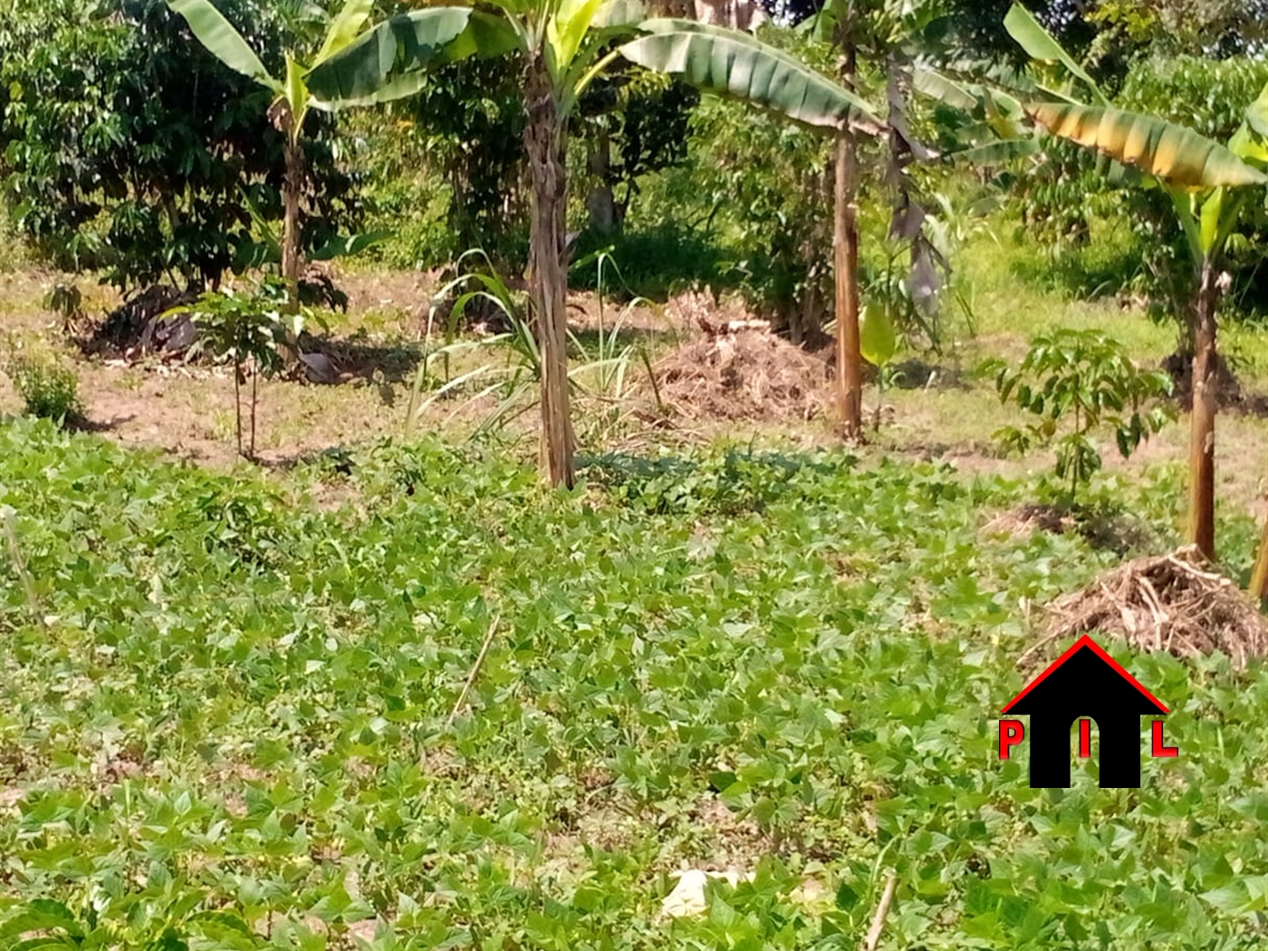 Commercial Land for sale in Bowa Luweero