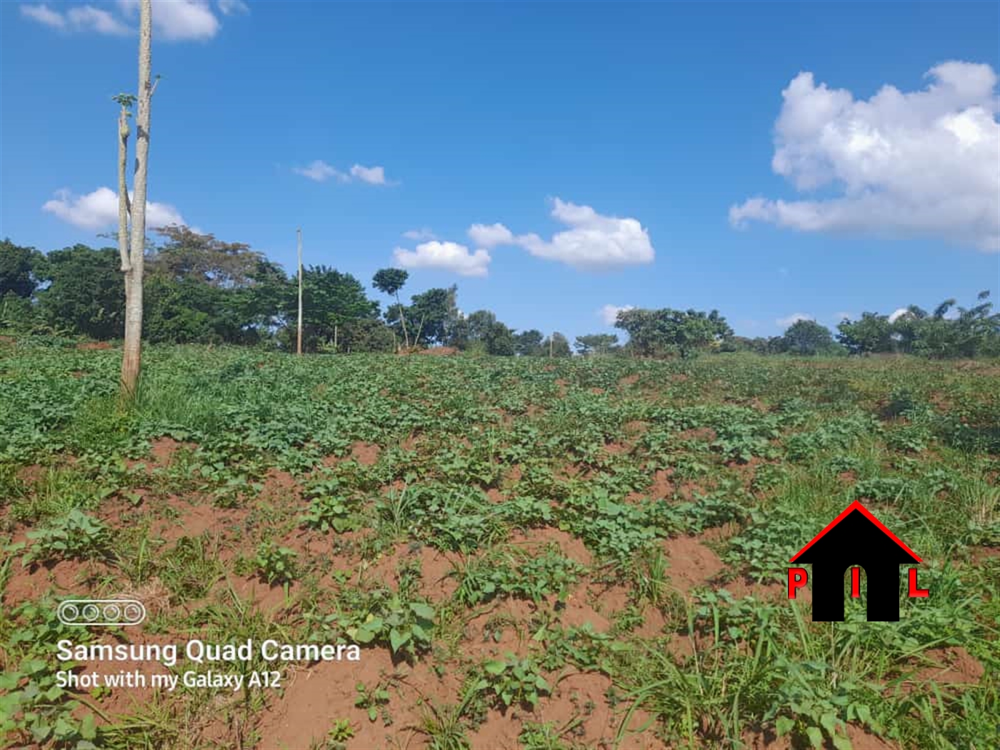 Commercial Land for sale in Ddundu Mukono