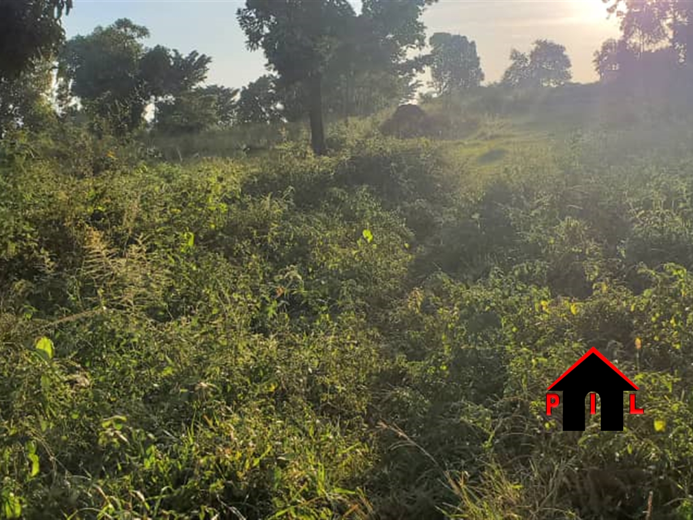 Commercial Land for sale in Seguku Wakiso