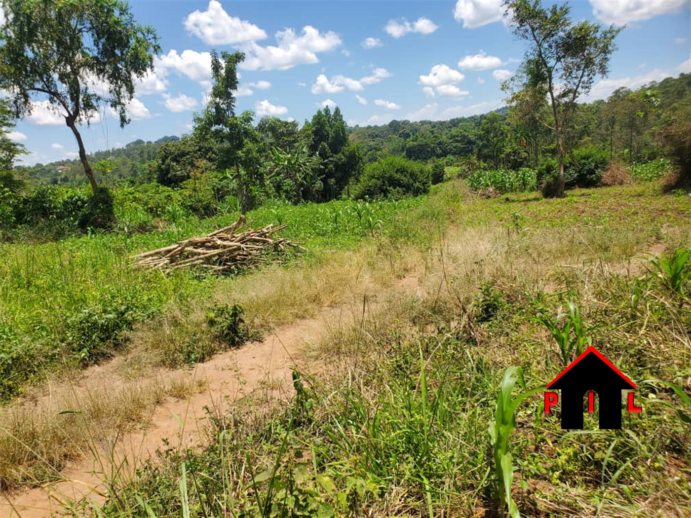Commercial Land for sale in Sambwe Wakiso