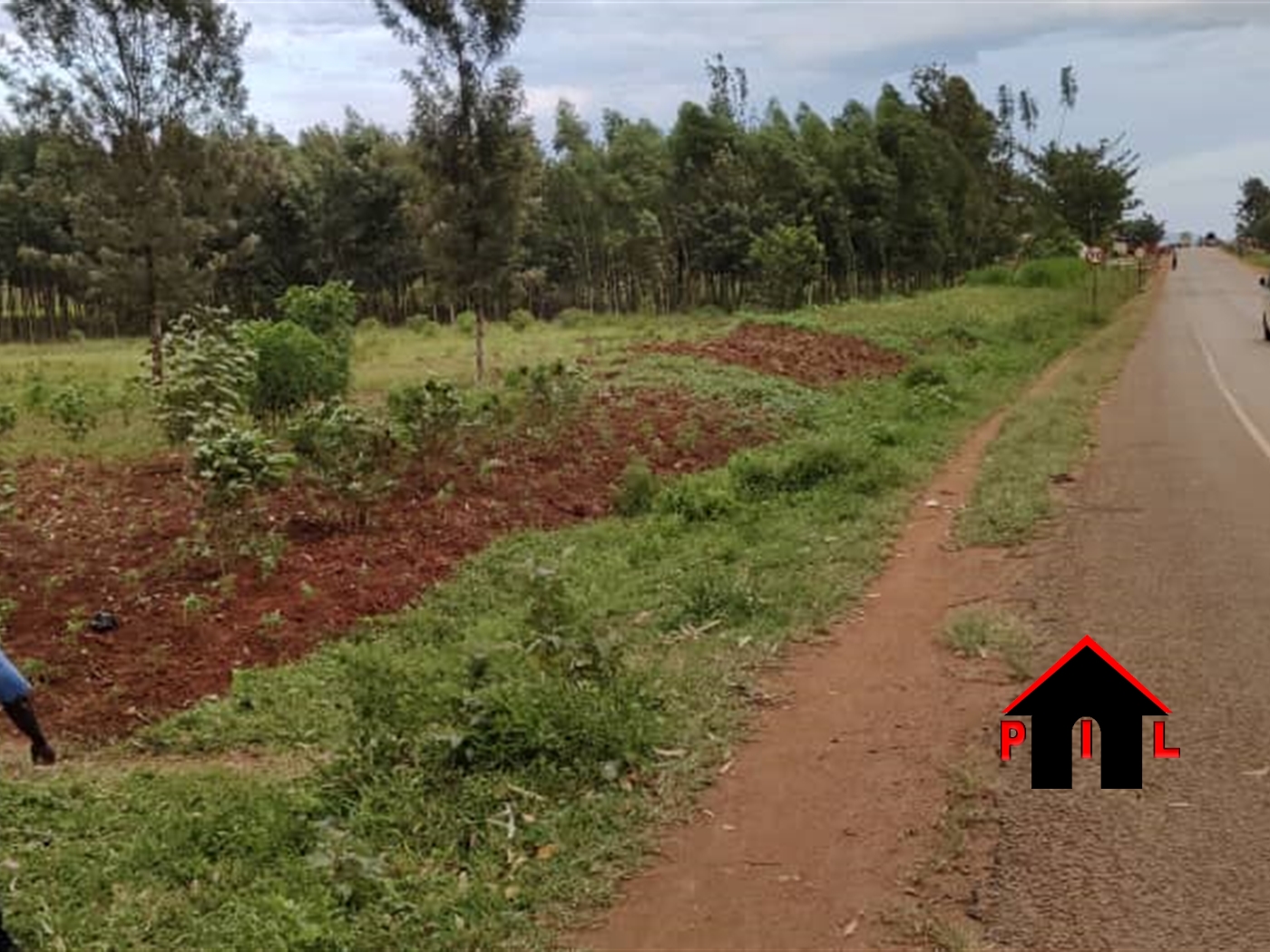 Commercial Land for sale in Bungokho Mbaale