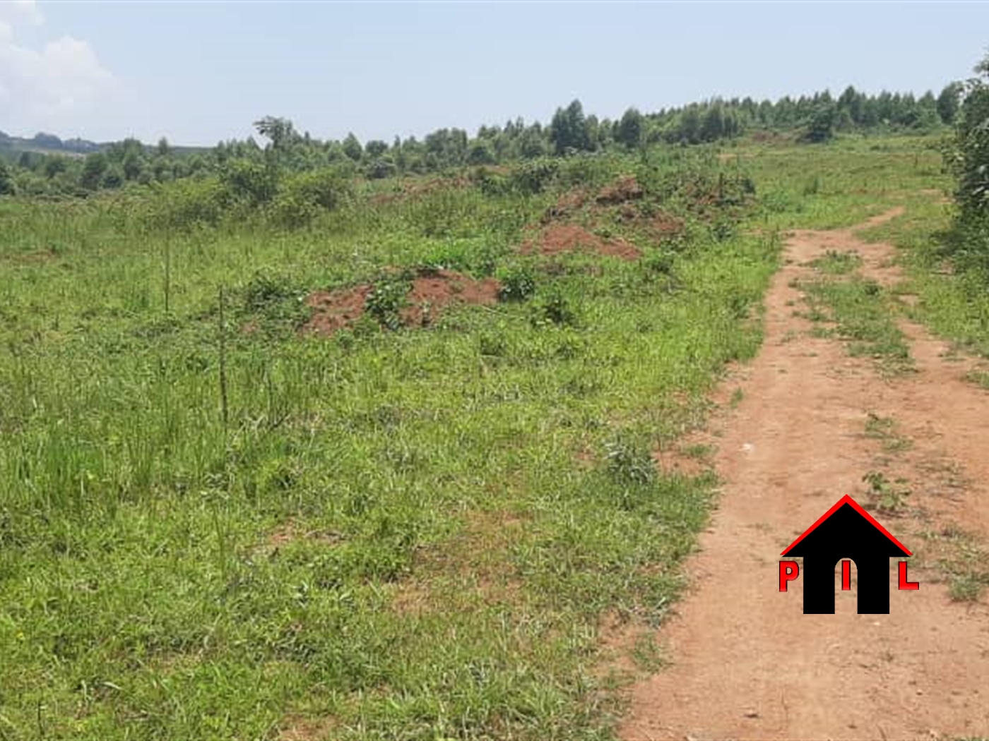 Commercial Land for sale in Ngongolo Wakiso