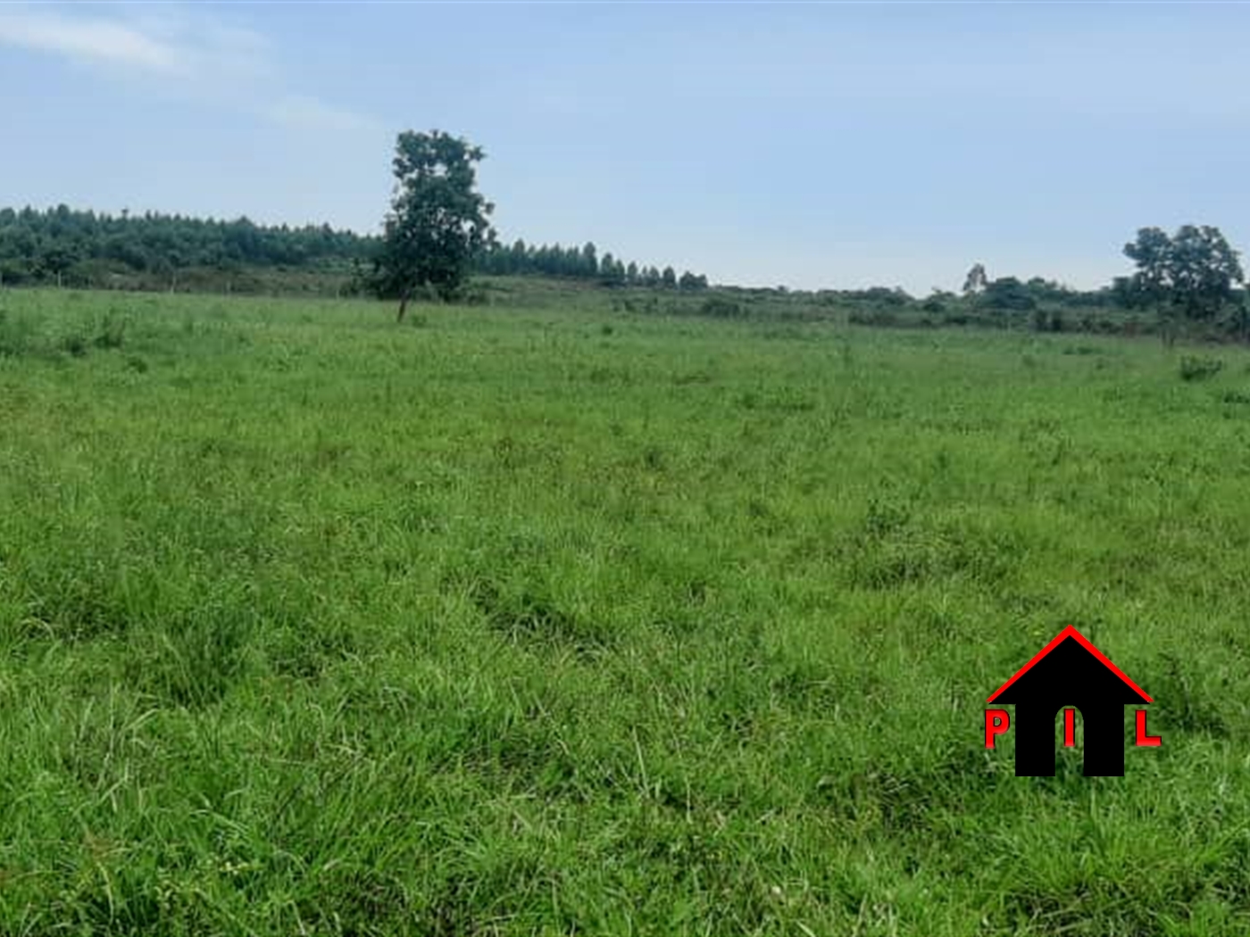 Commercial Land for sale in Ngongolo Wakiso