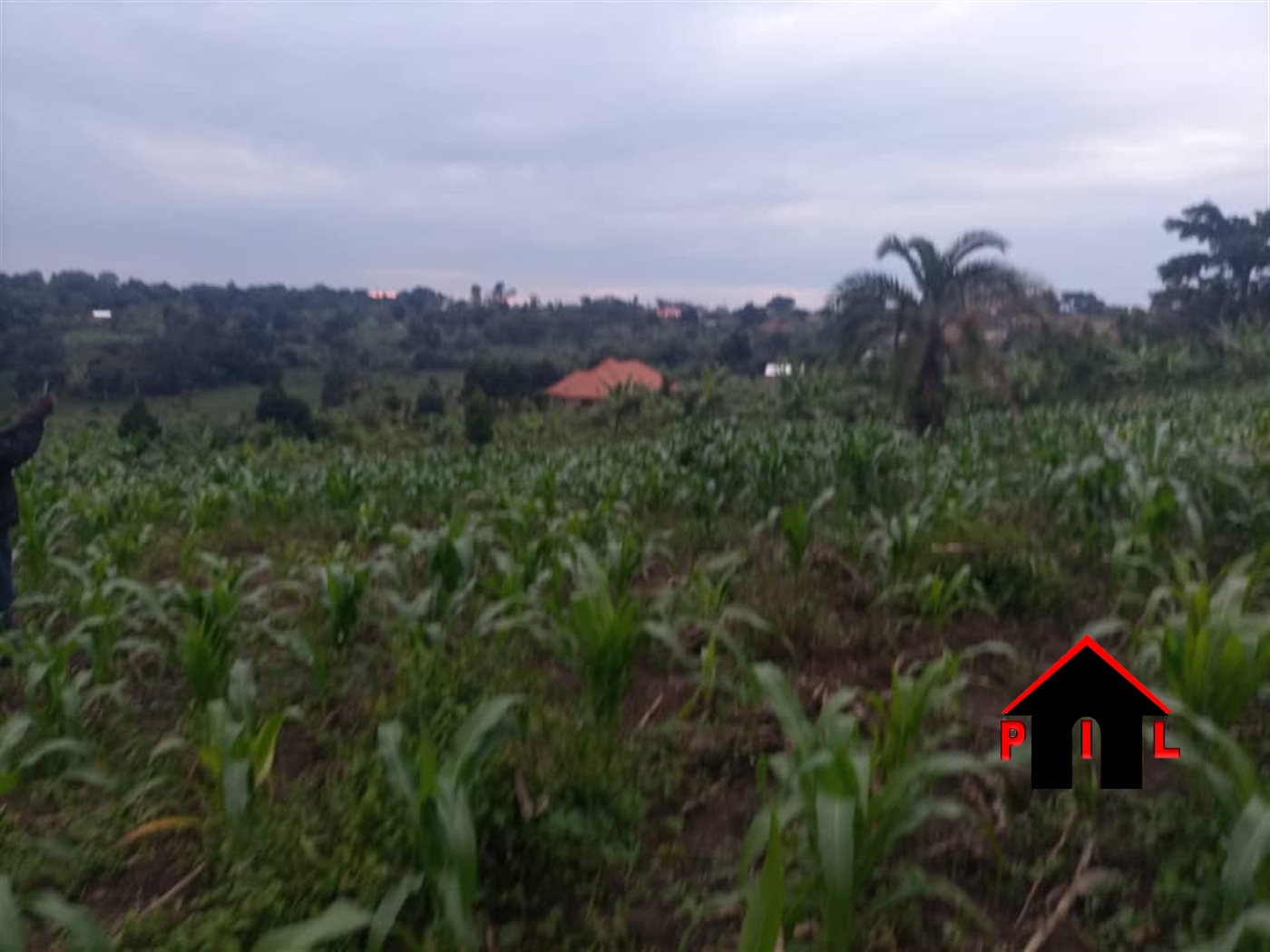 Commercial Land for sale in Sseyungu Luweero
