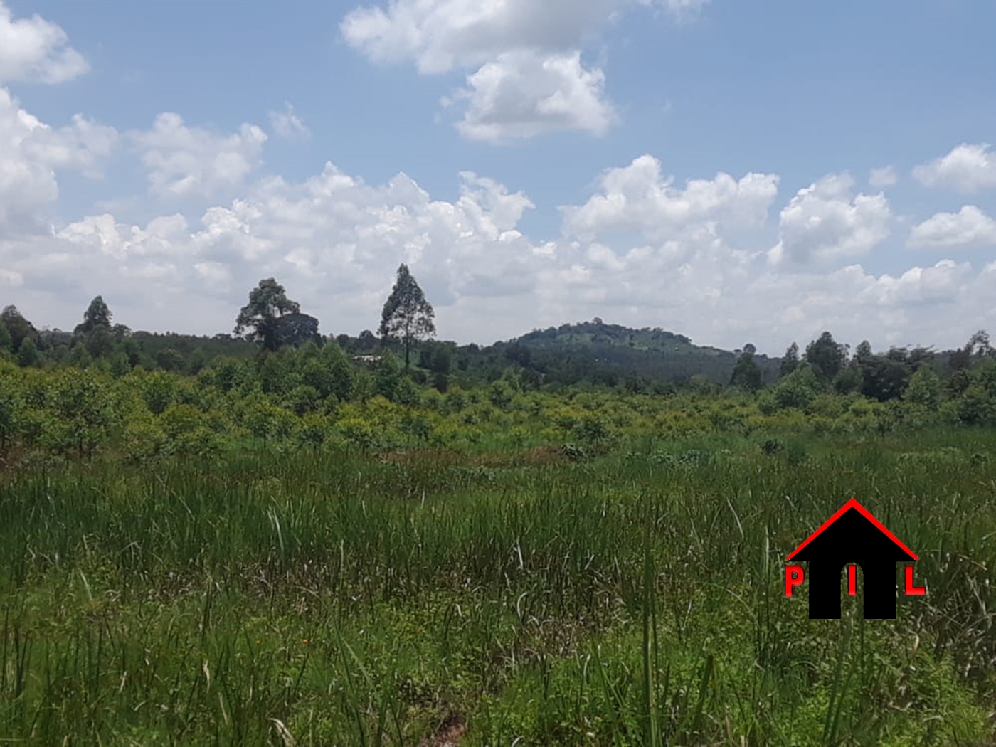 Commercial Land for sale in Mende Wakiso