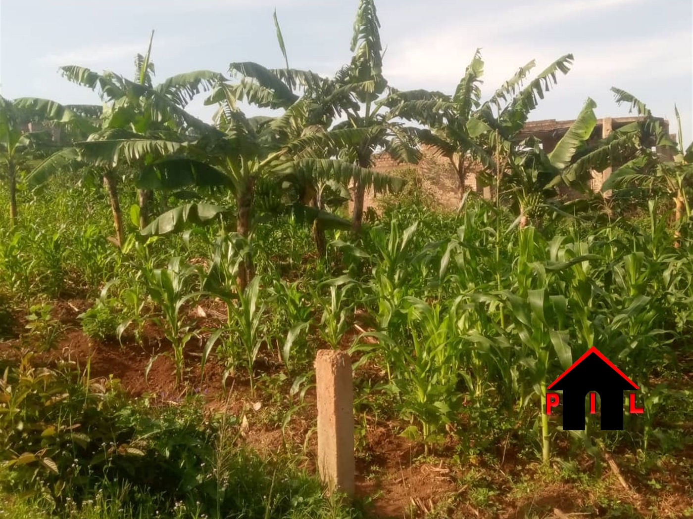 Residential Land for sale in Kira Wakiso