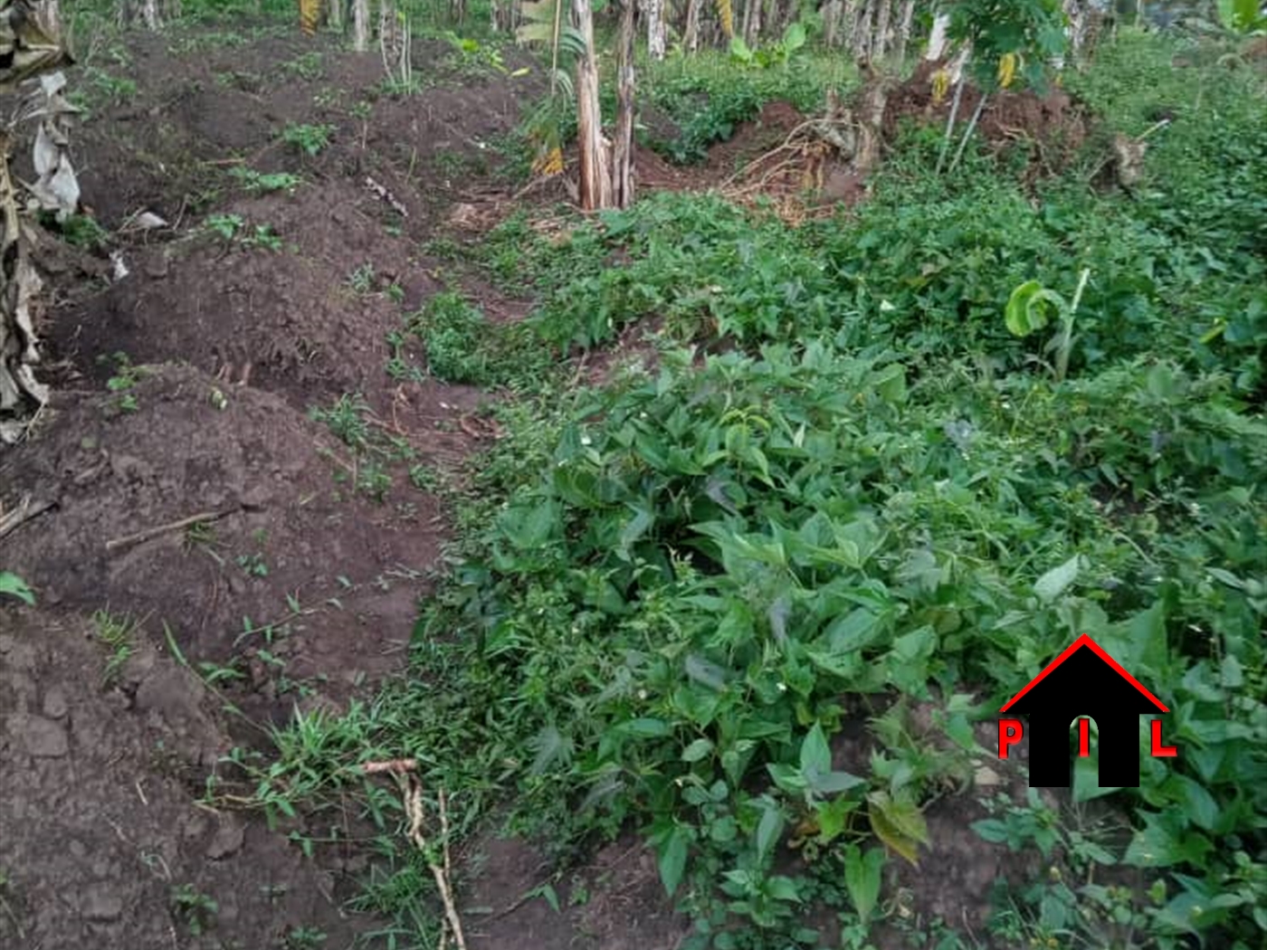 Agricultural Land for sale in Lwemede Kibaale