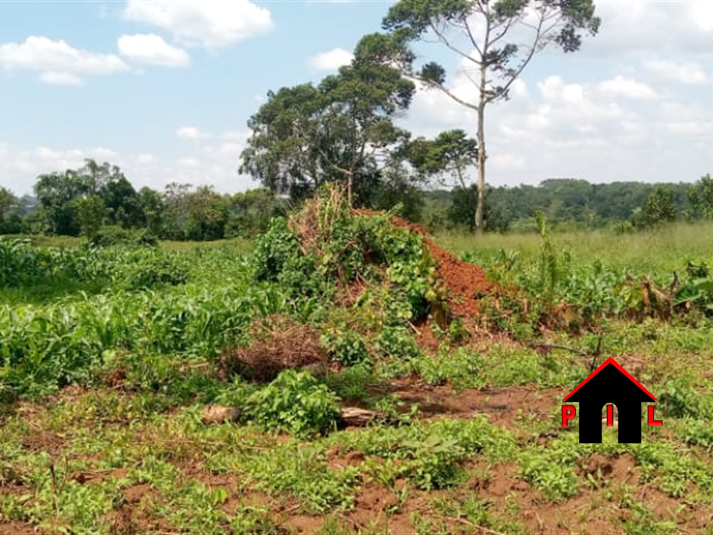 Commercial Land for sale in Bukeelele Wakiso