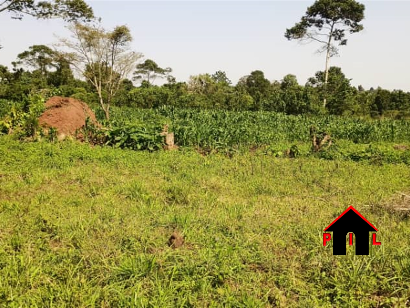 Commercial Land for sale in Bukeelele Wakiso