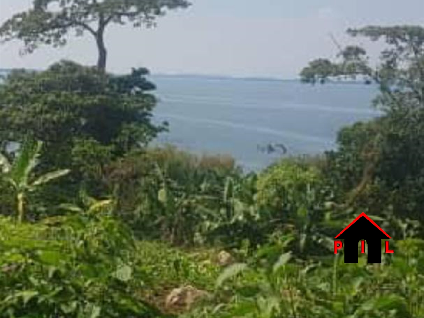 Commercial Land for sale in Ssesse Kalangala