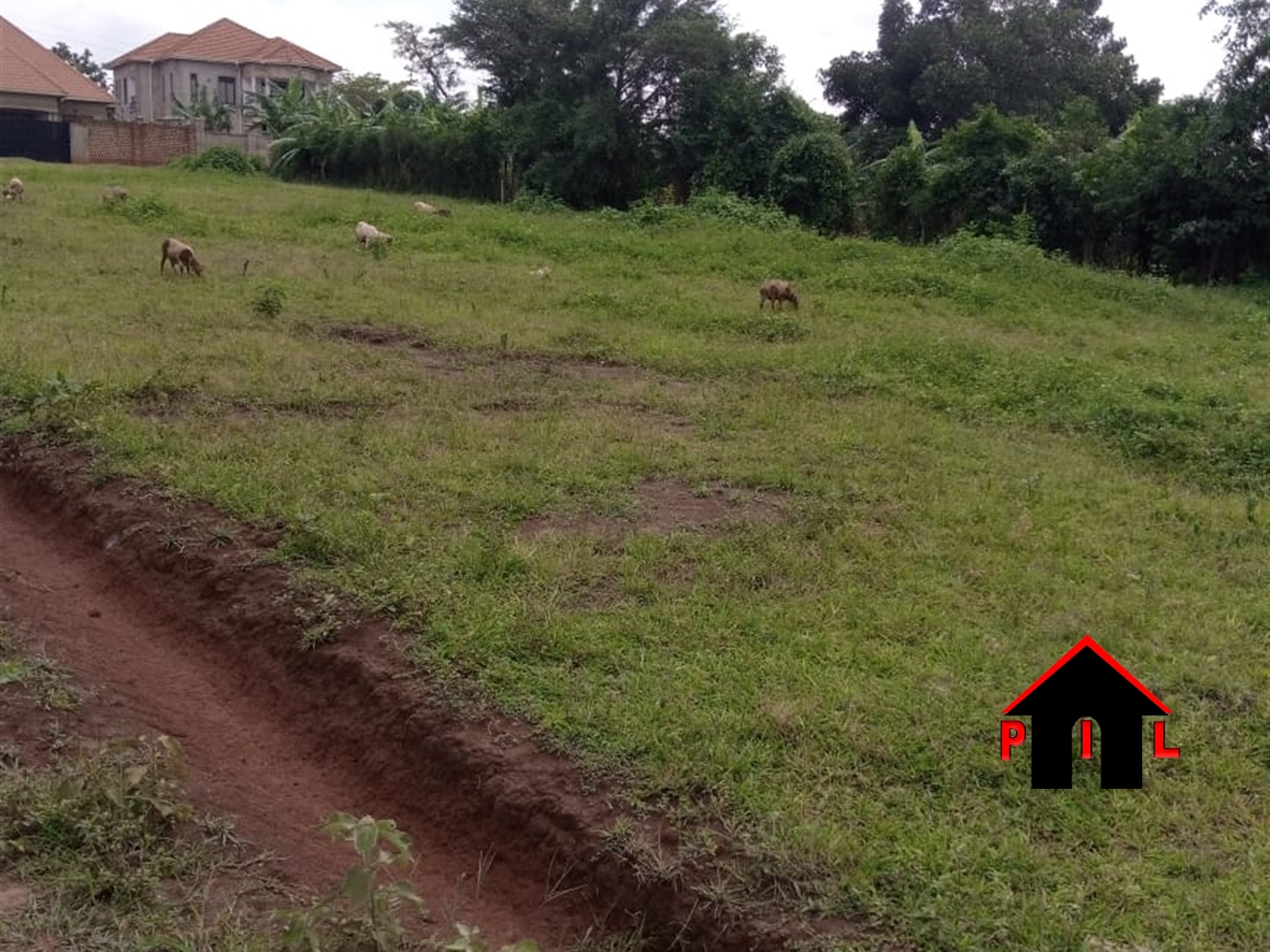 Residential Land for sale in Makenke Wakiso