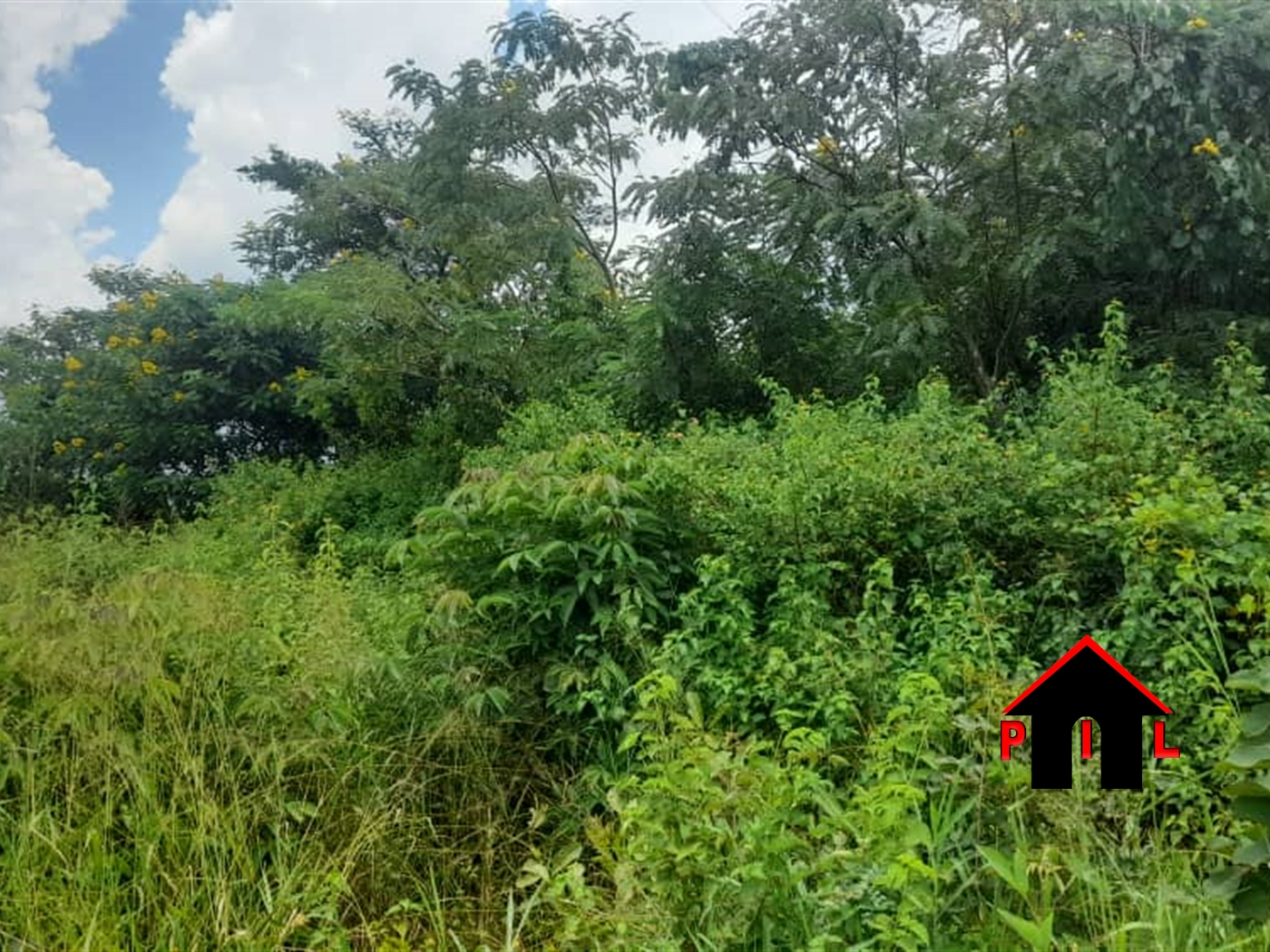 Agricultural Land for sale in Kagalama Luweero