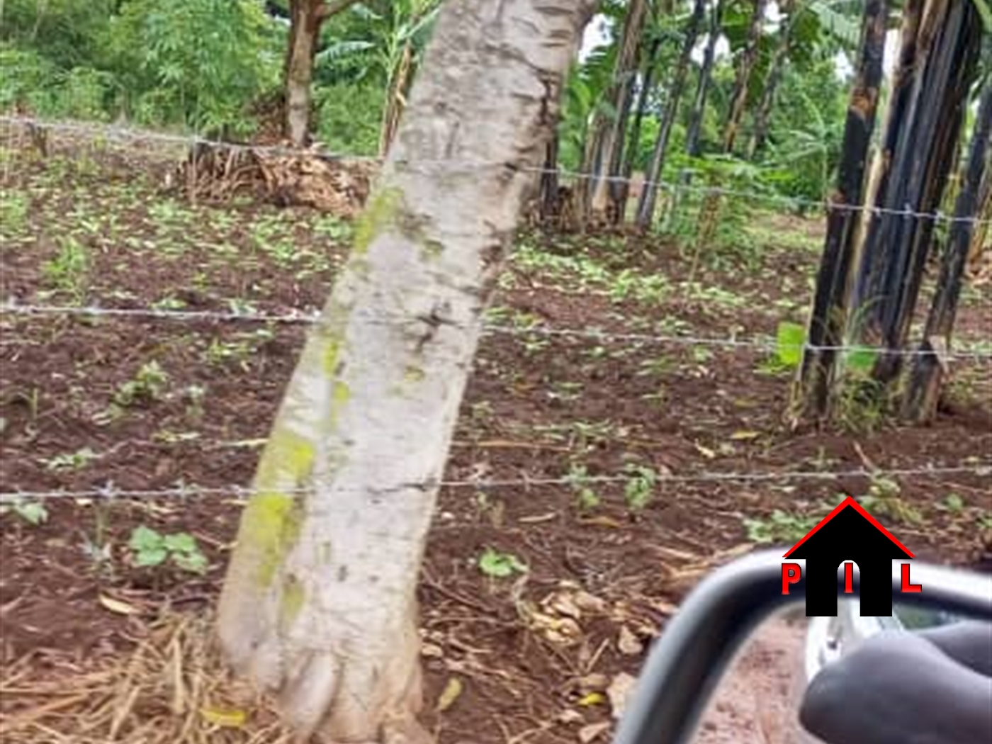 Residential Land for sale in Kalanamu Wakiso