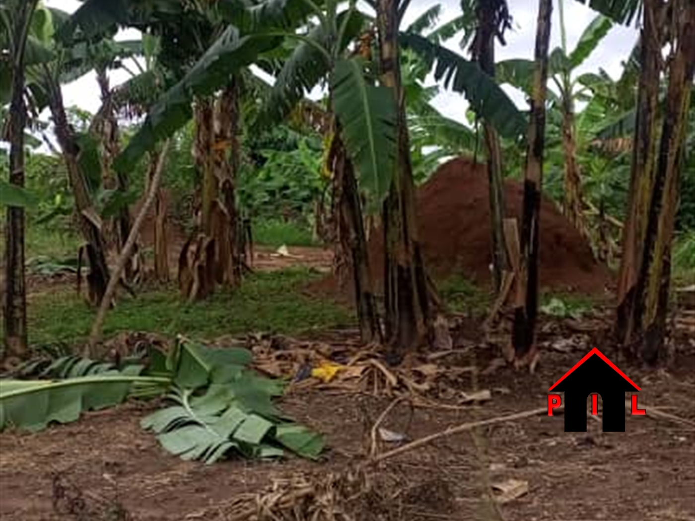 Residential Land for sale in Kalanamu Wakiso