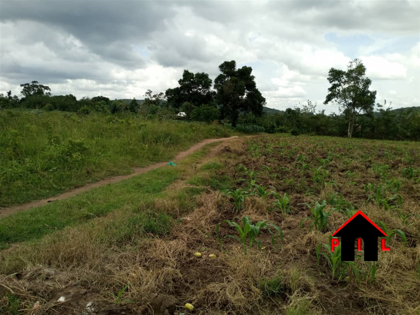Commercial Land for sale in Wobulenzi Luweero Uganda, code 156666, 04