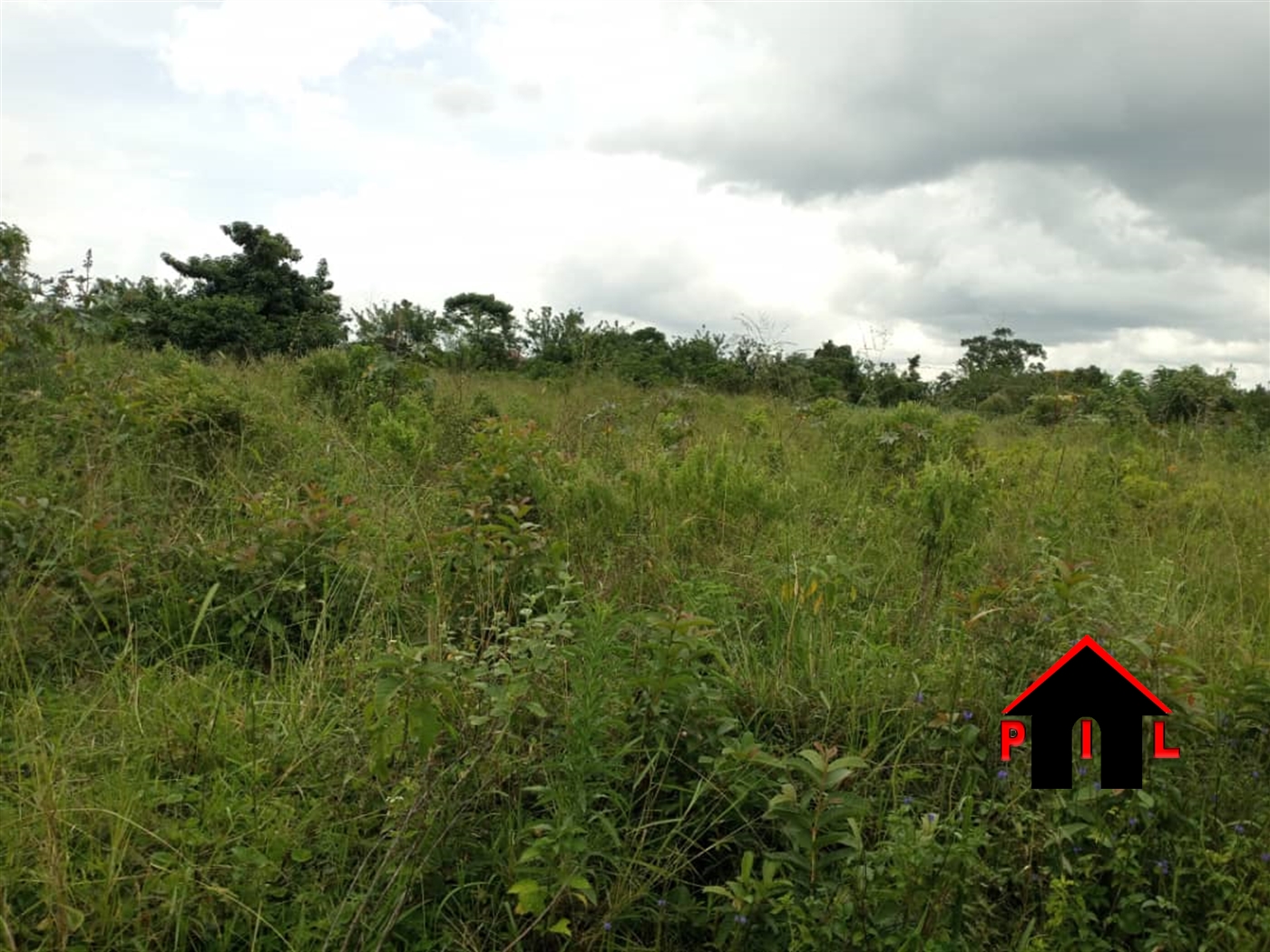 Commercial Land for sale in Wobulenzi Luweero Uganda, code 156666, 04