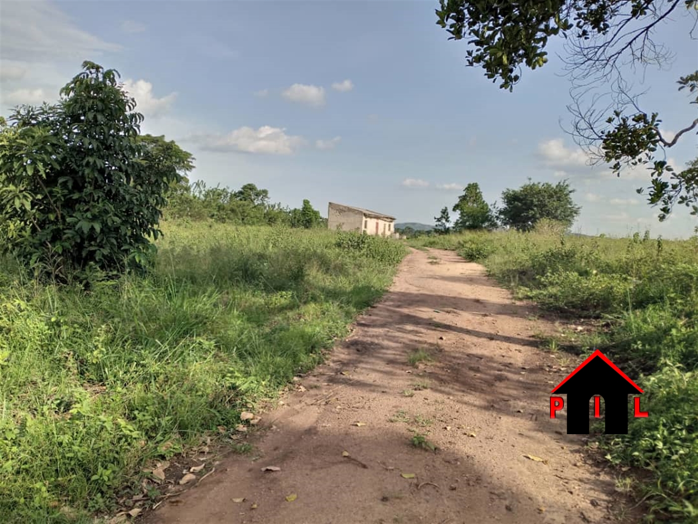 Commercial Land for sale in Wobulenzi Luweero Uganda, code 156666, 04