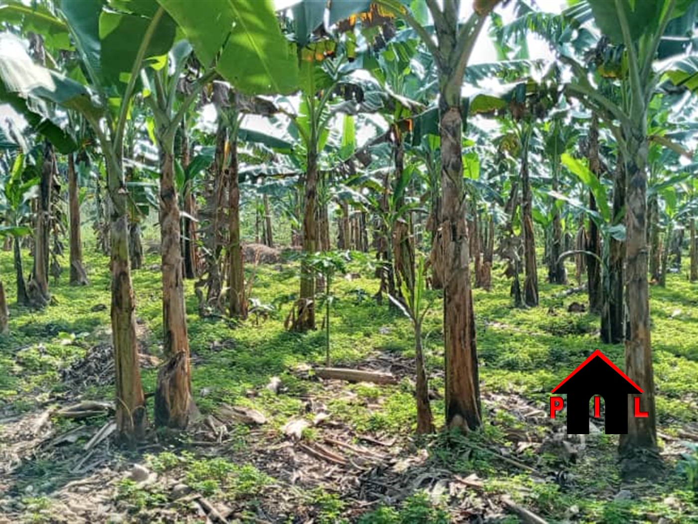 Commercial Land for sale in Kakiri Wakiso