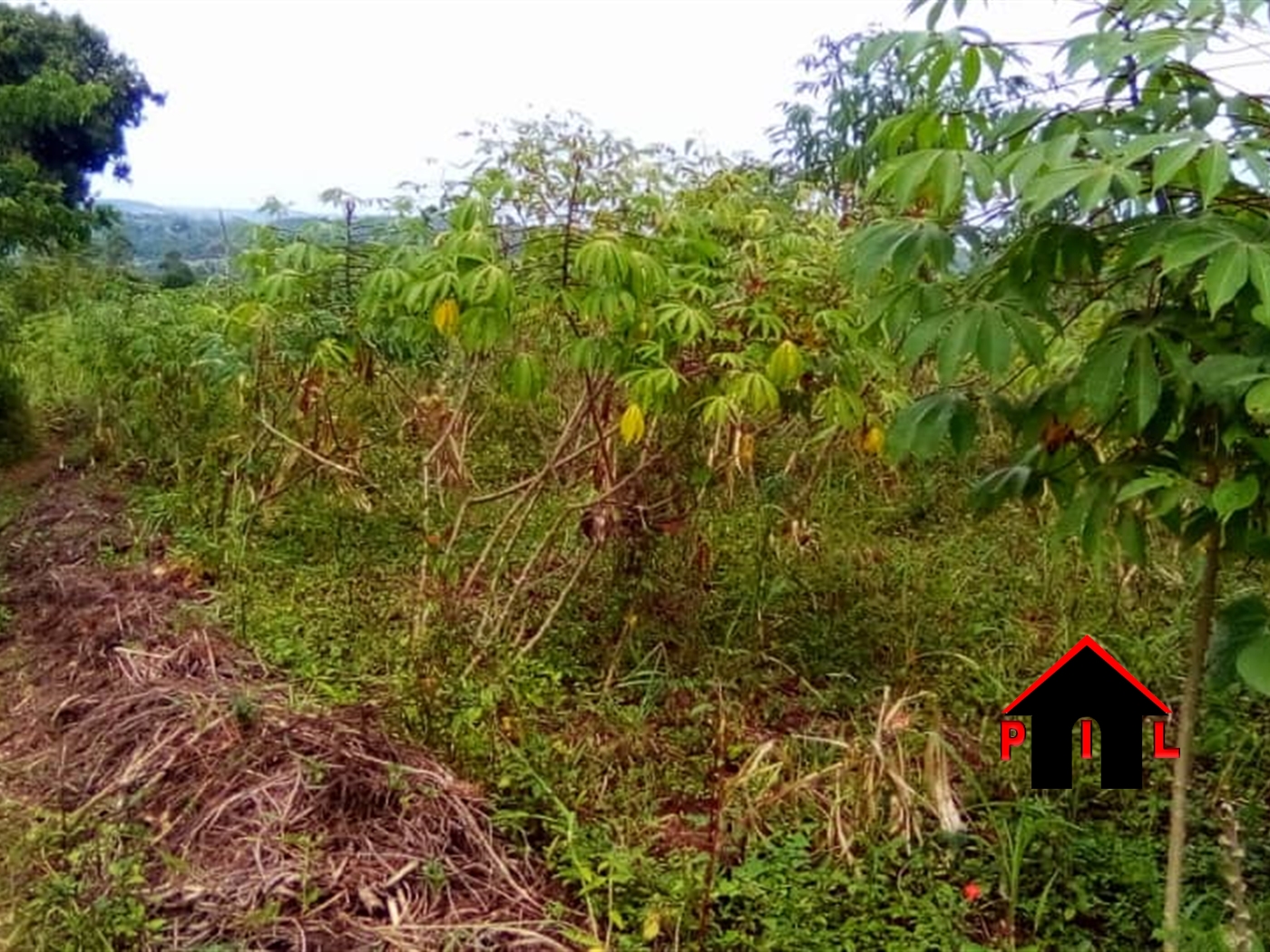 Commercial Land for sale in Suugu Buyikwe