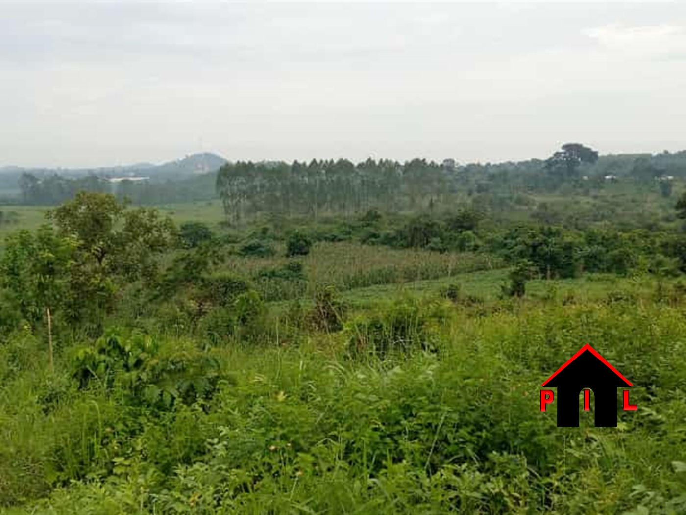 Commercial Land for sale in Kiwumu Mukono