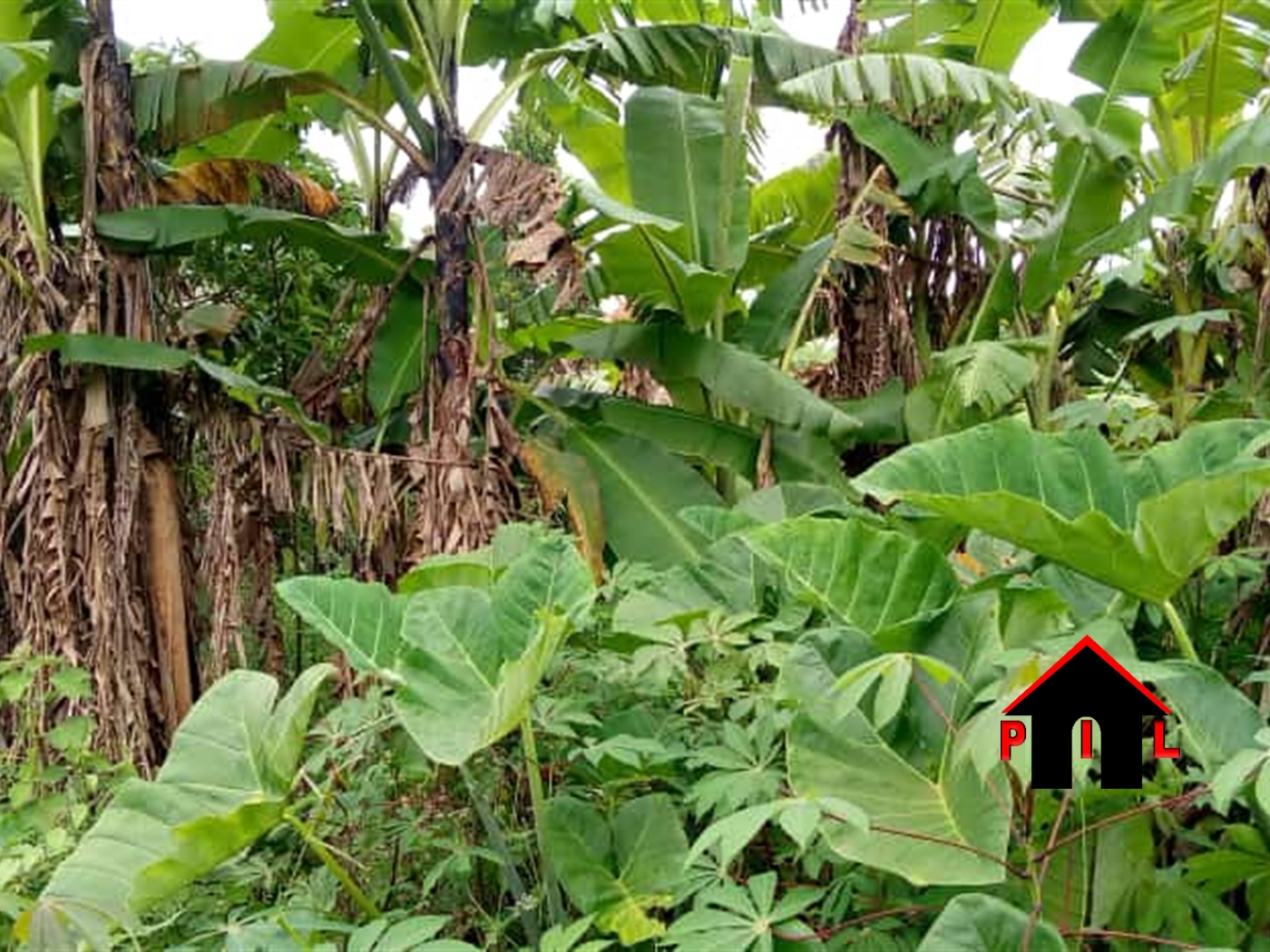 Residential Land for sale in Nakassajja Mukono