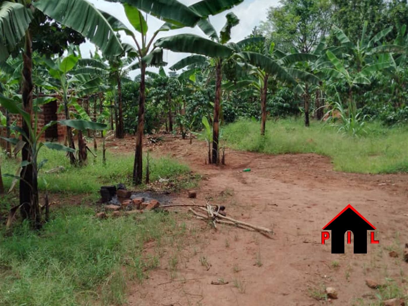 Commercial Land for sale in Namulonge Wakiso