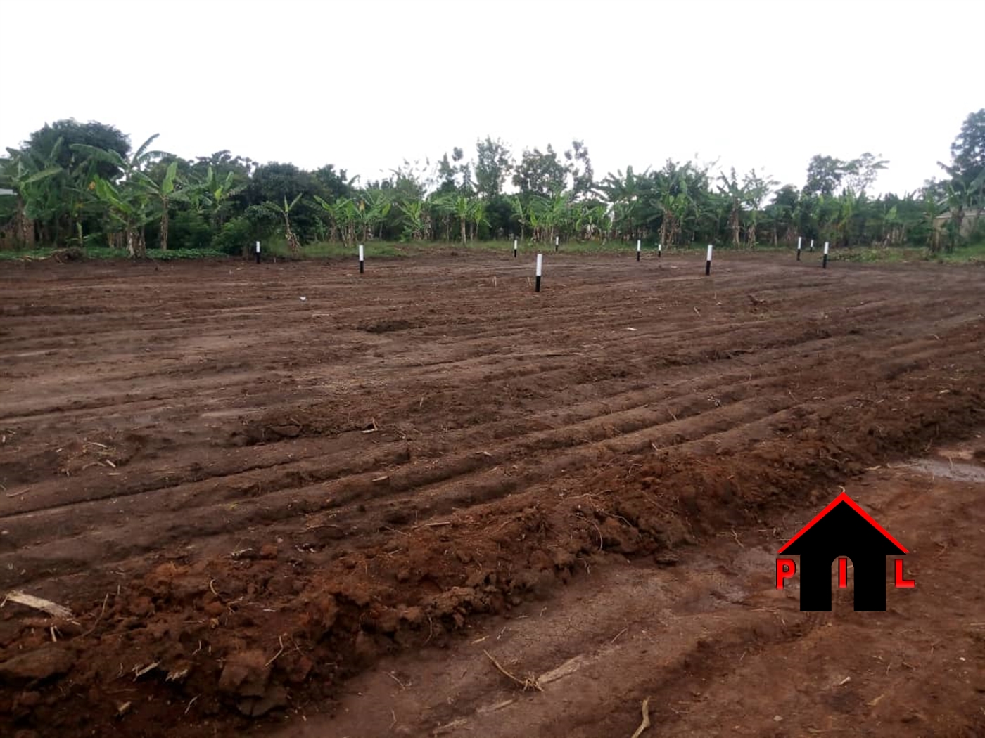 Agricultural Land for sale in Kabanyi Luweero