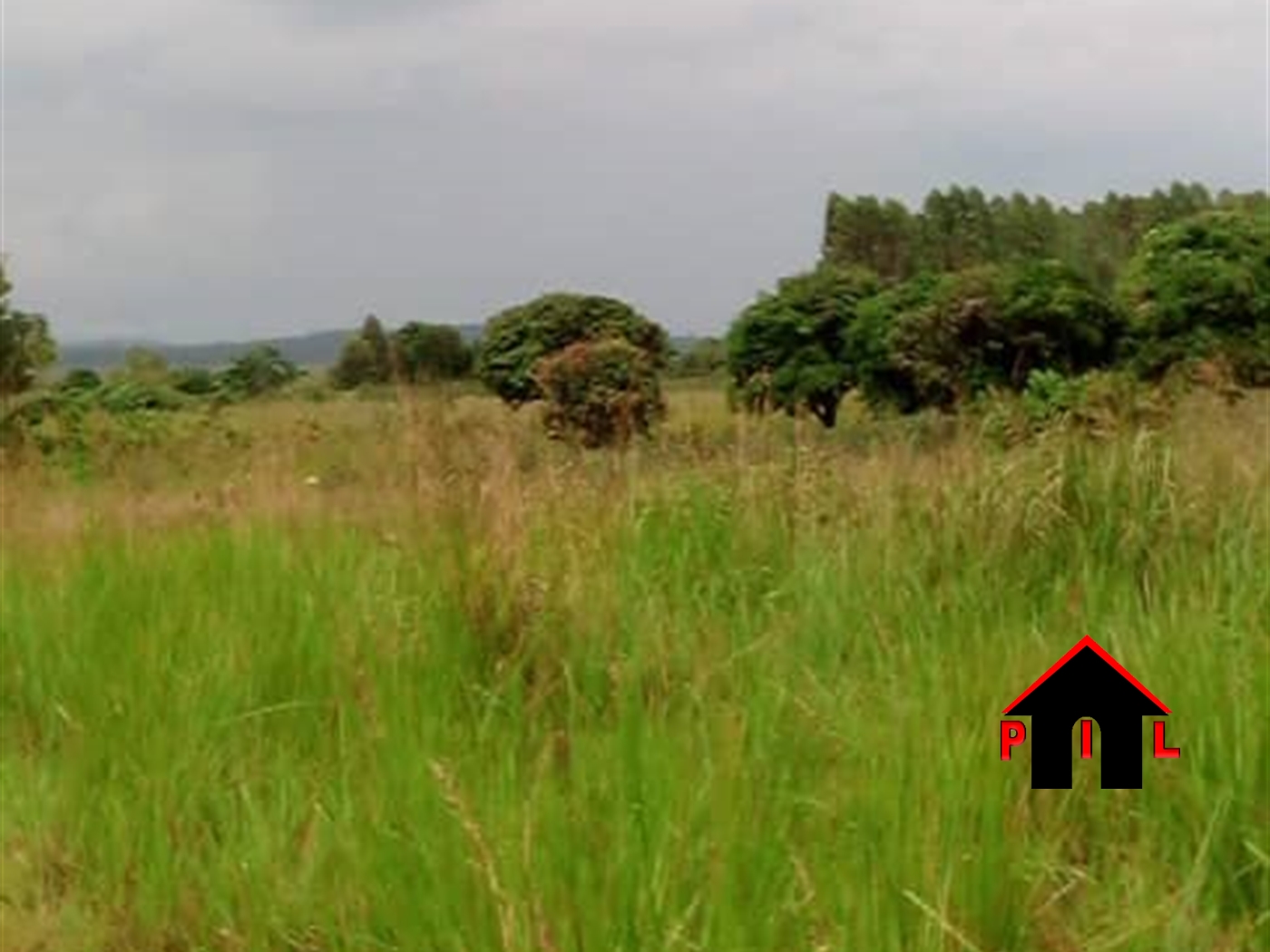 Commercial Land for sale in Lukaya Masaka