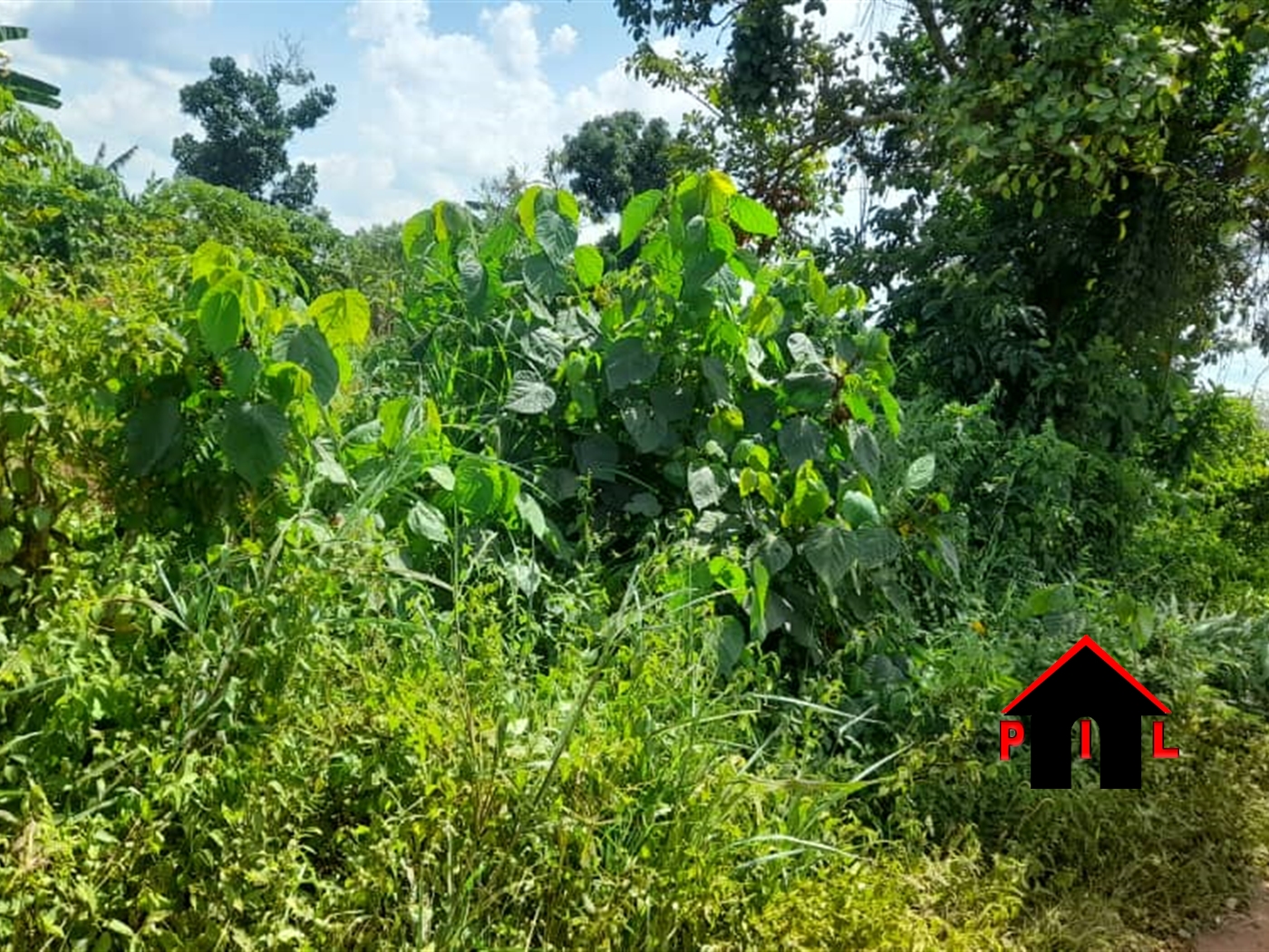 Agricultural Land for sale in Kibula Luweero