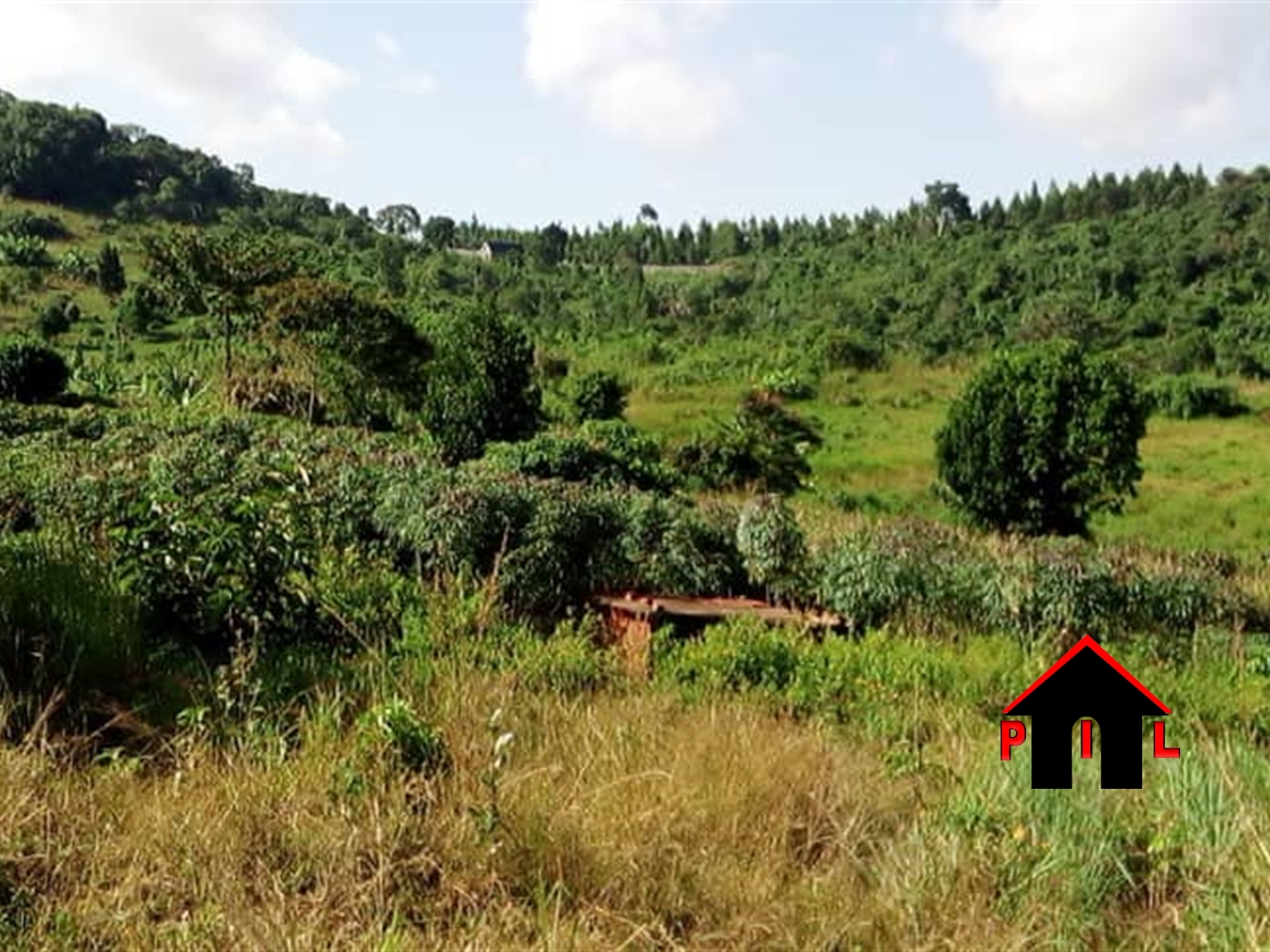 Commercial Land for sale in Ssisa Wakiso