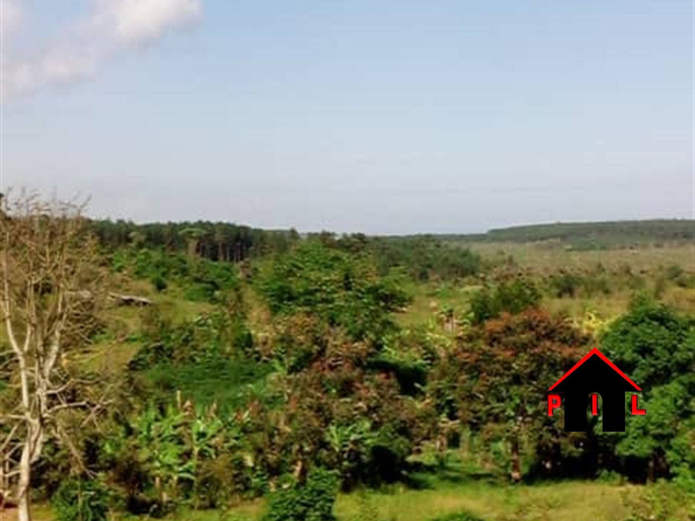 Commercial Land for sale in Ndibulungi Luweero