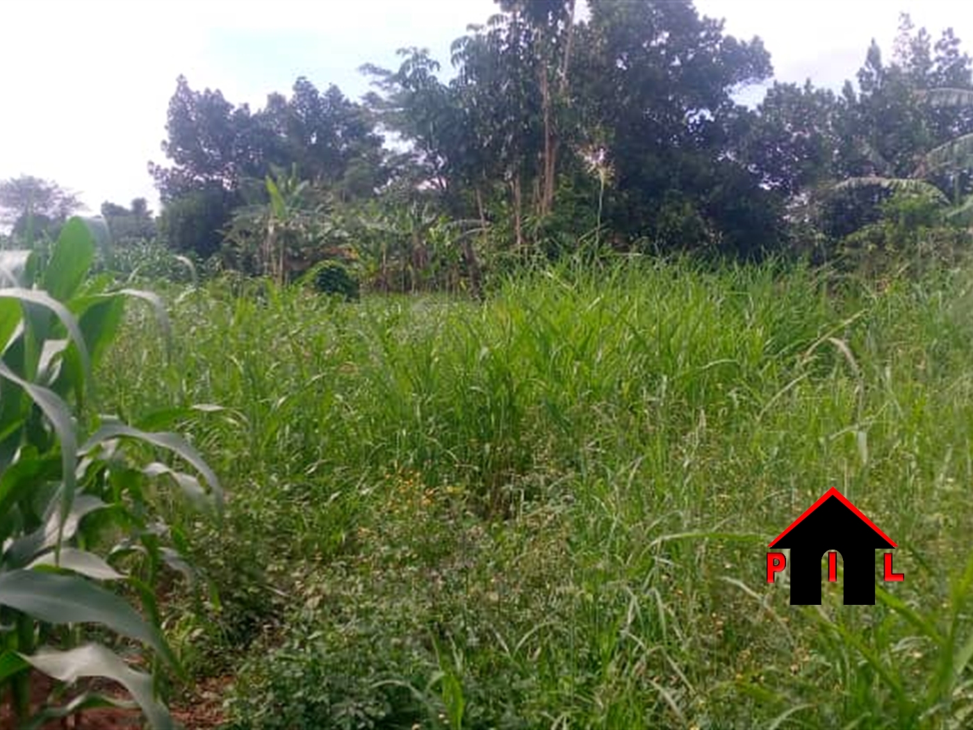Commercial Land for sale in Kawuga Mubende