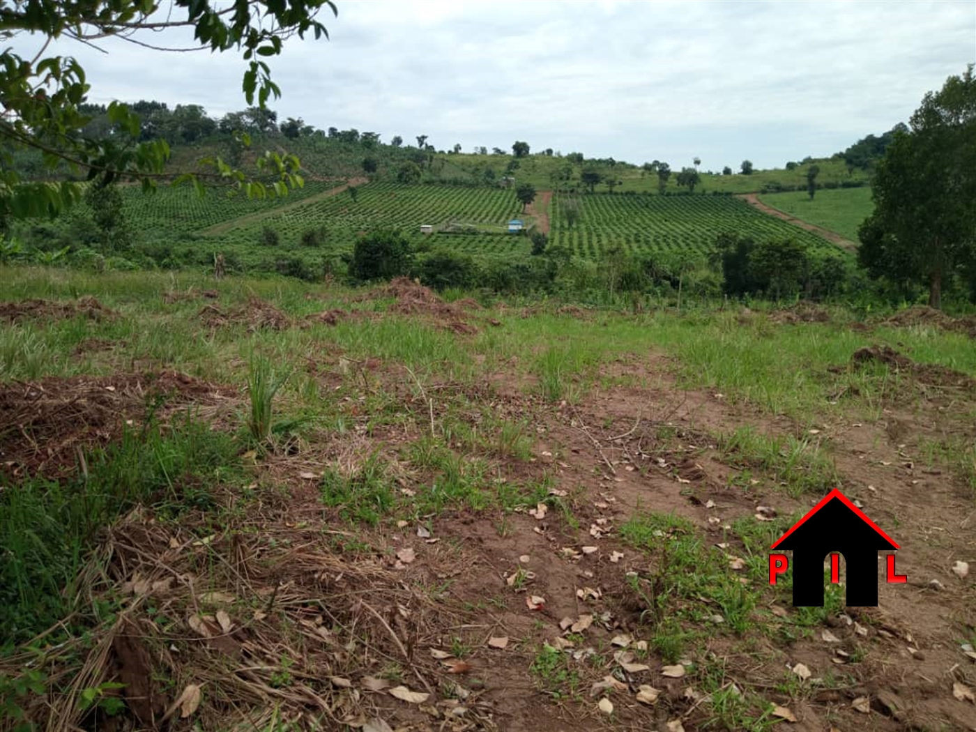 Residential Land for sale in Namayanga Masaka