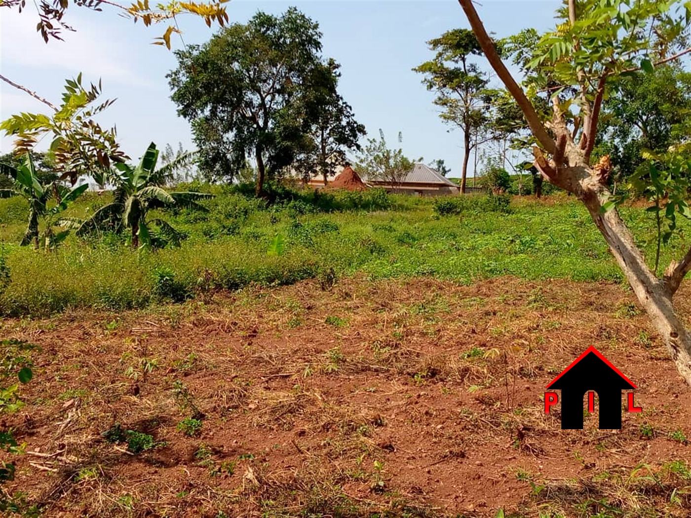 Commercial Land for sale in Busukuma Wakiso