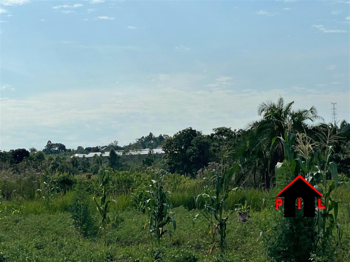 Agricultural Land for sale in Lugala Mpigi
