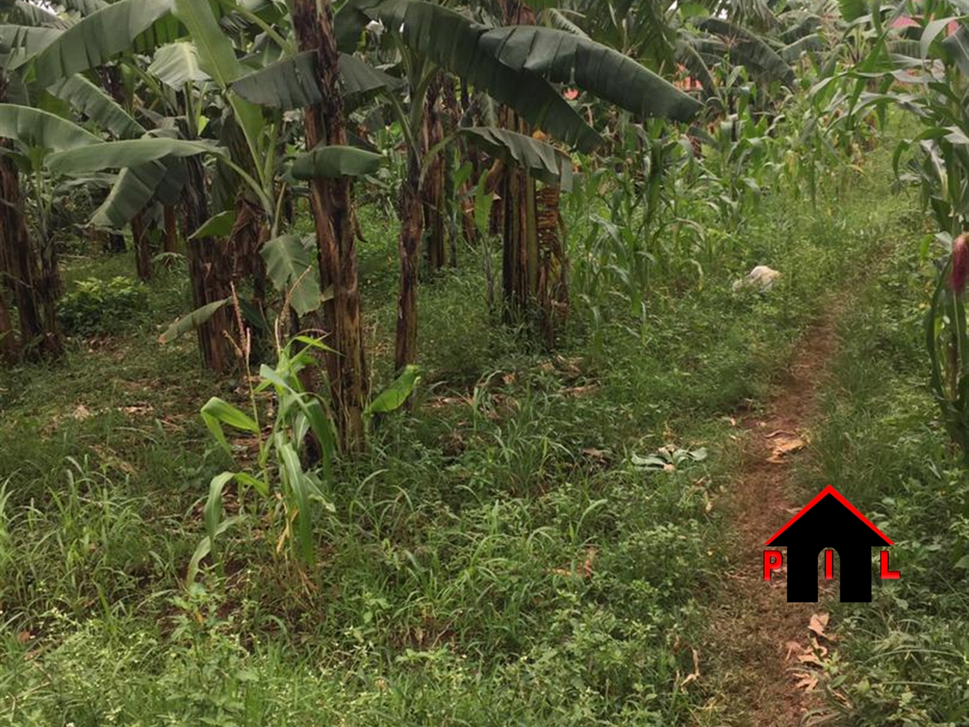 Residential Land for sale in Jokolera Wakiso