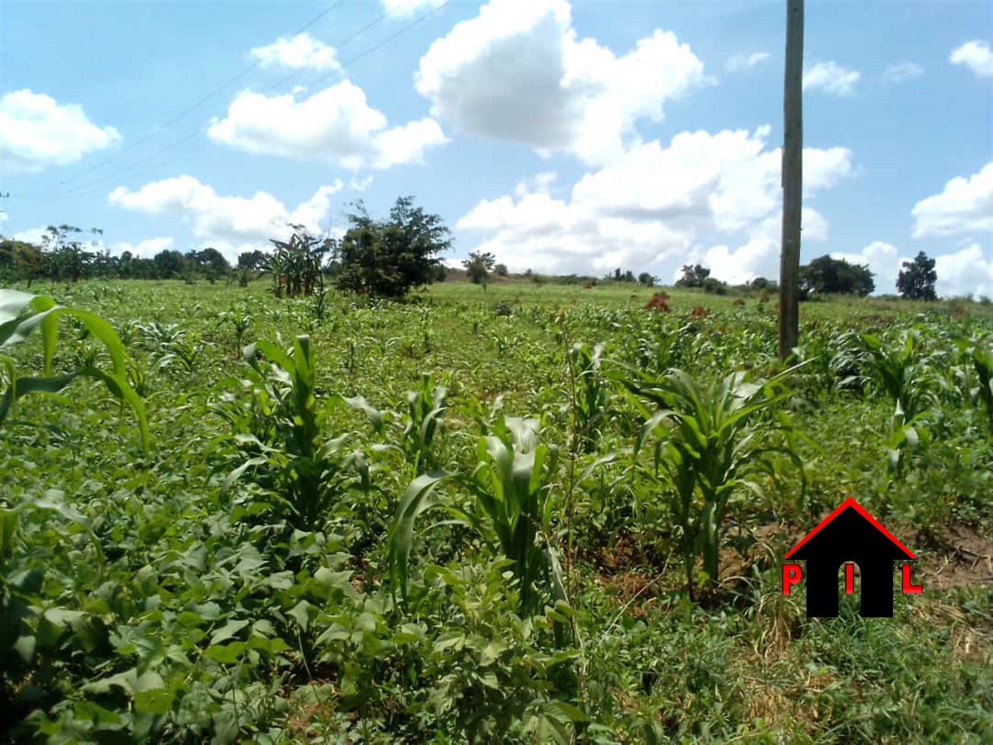 Commercial Land for sale in Nsangu Wakiso