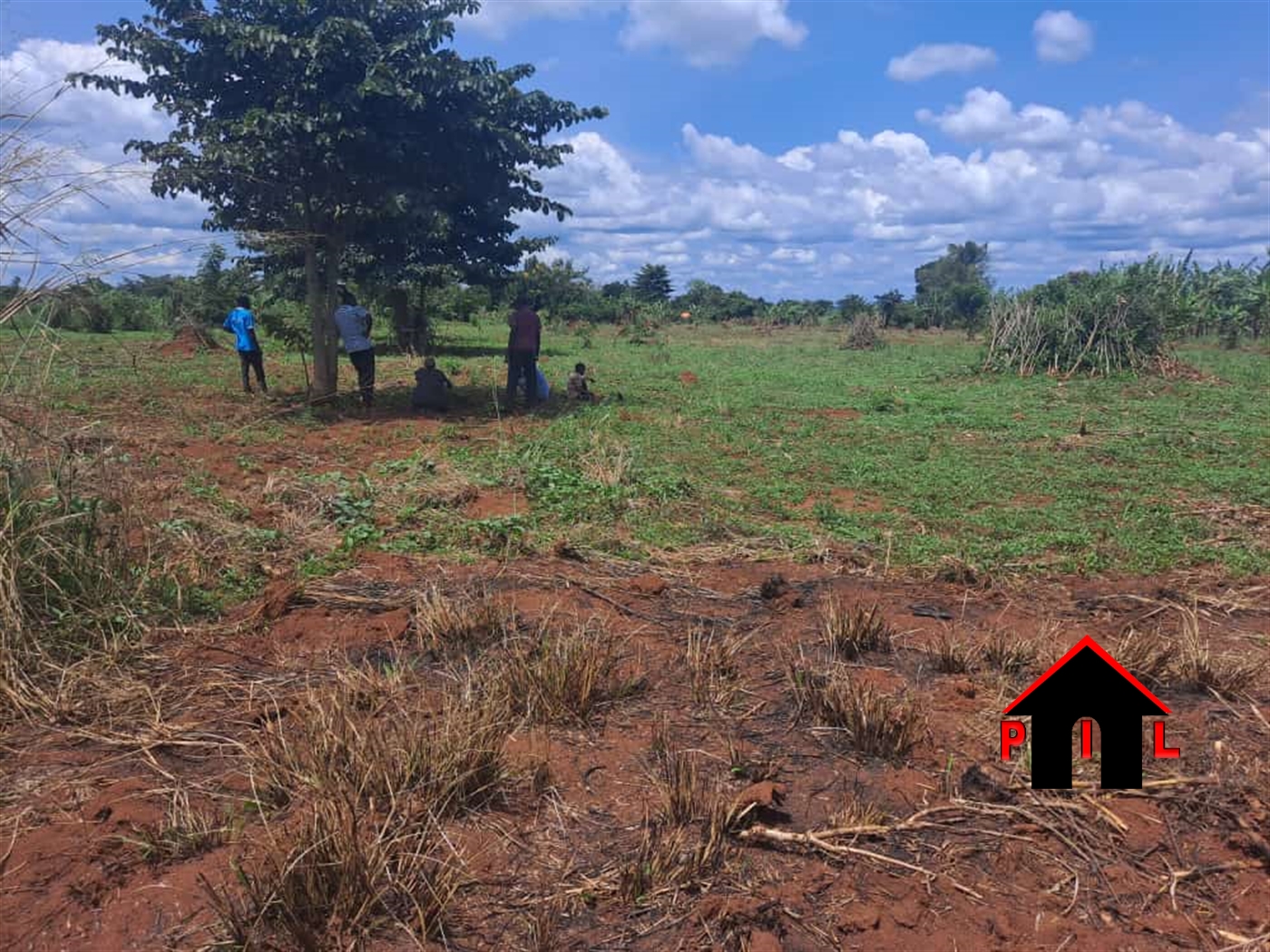 Commercial Land for sale in Katabona Luweero