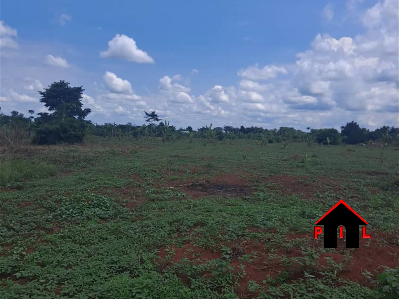 Commercial Land for sale in Katabona Luweero
