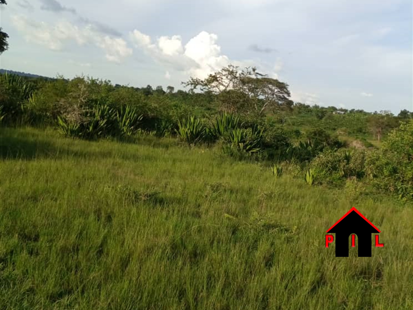 Agricultural Land for sale in Bisanje Masaka