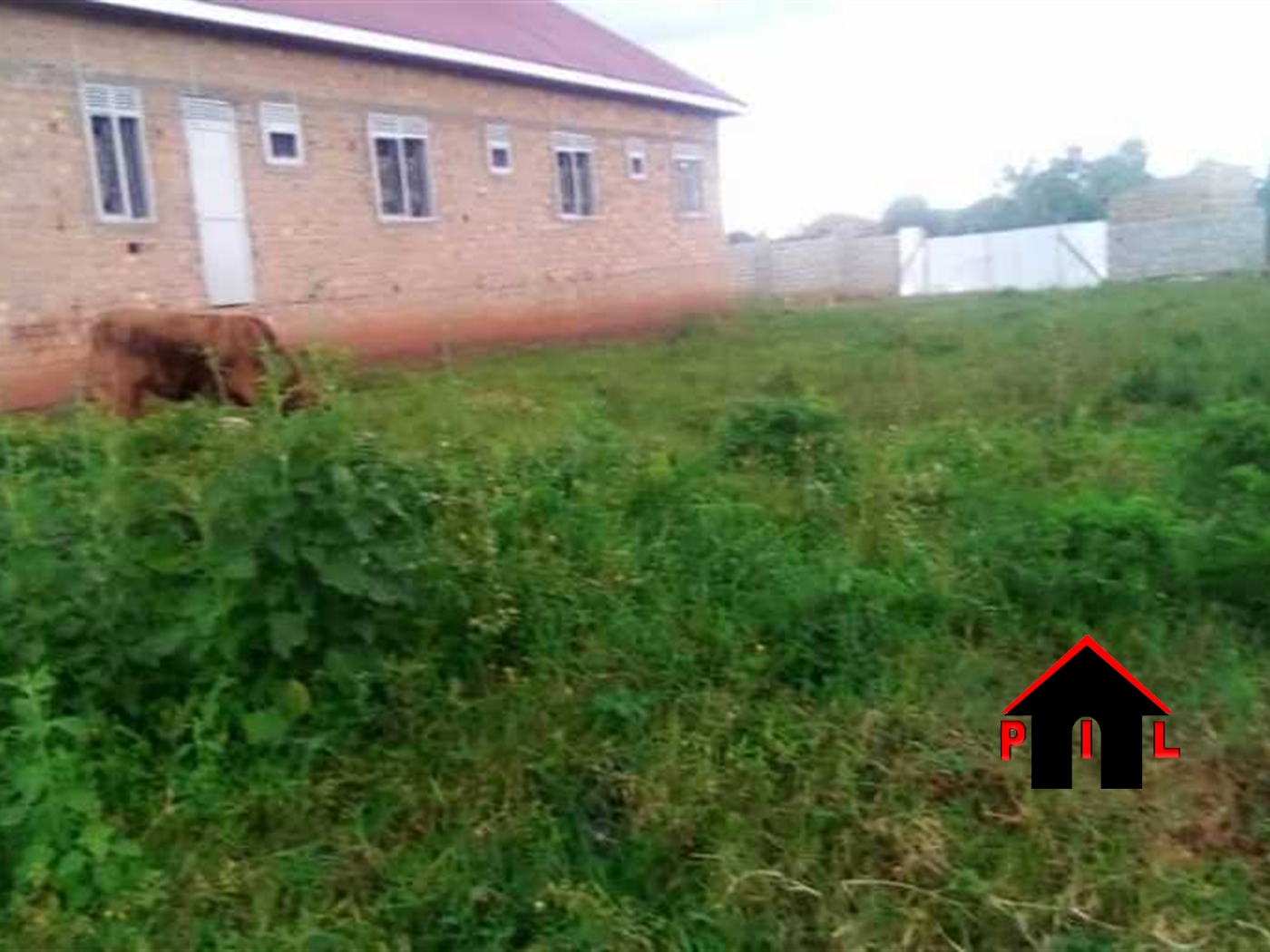 Residential Land for sale in Nabusugwe Mukono