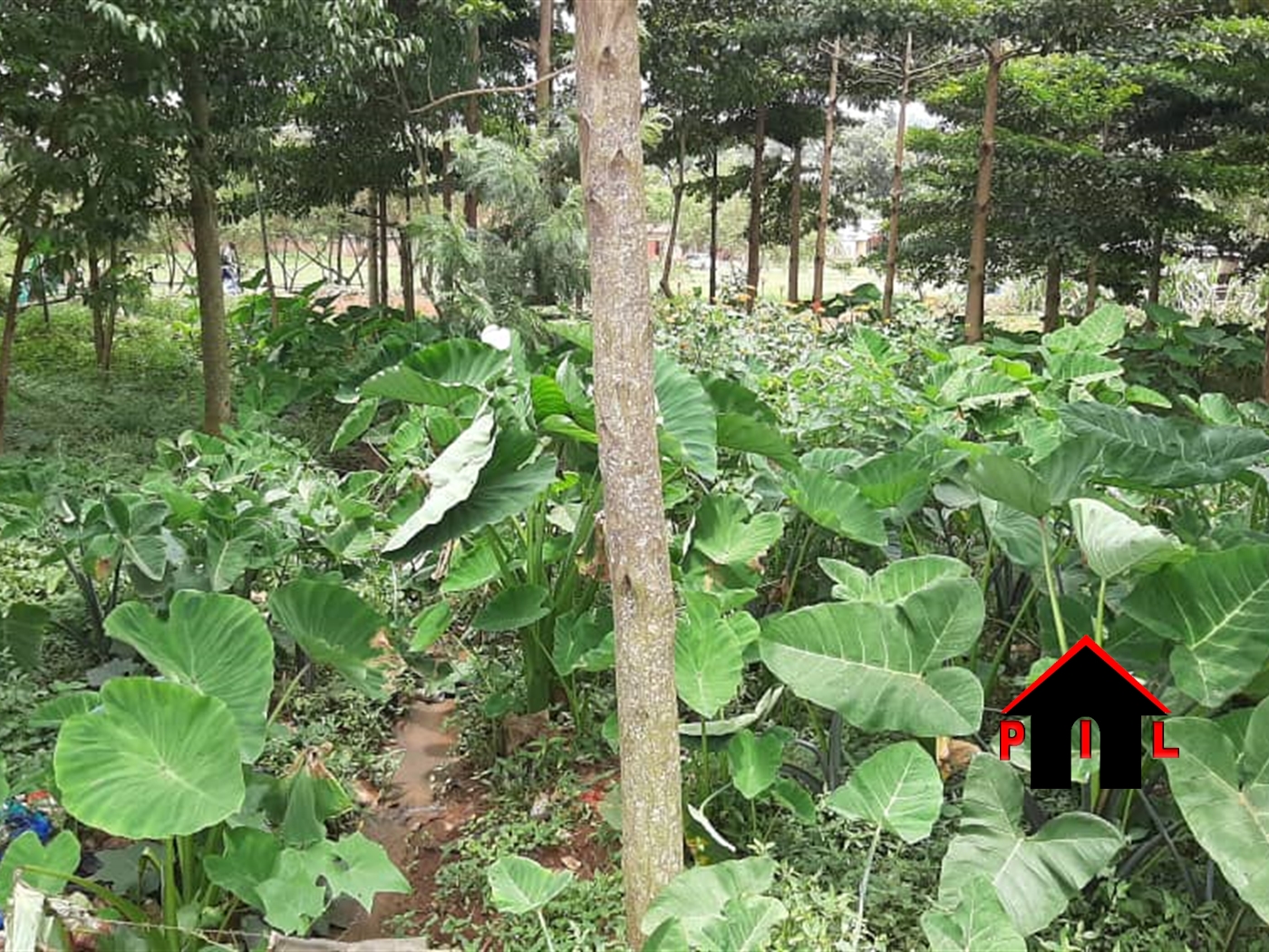 Residential Land for sale in Kyebando Kampala