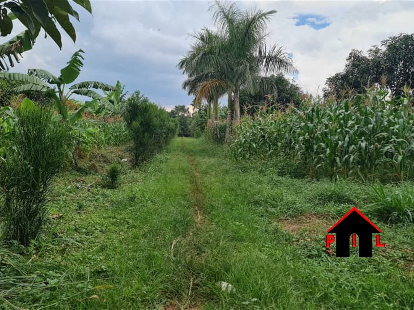 Commercial Land for sale in Namayumba Mukono
