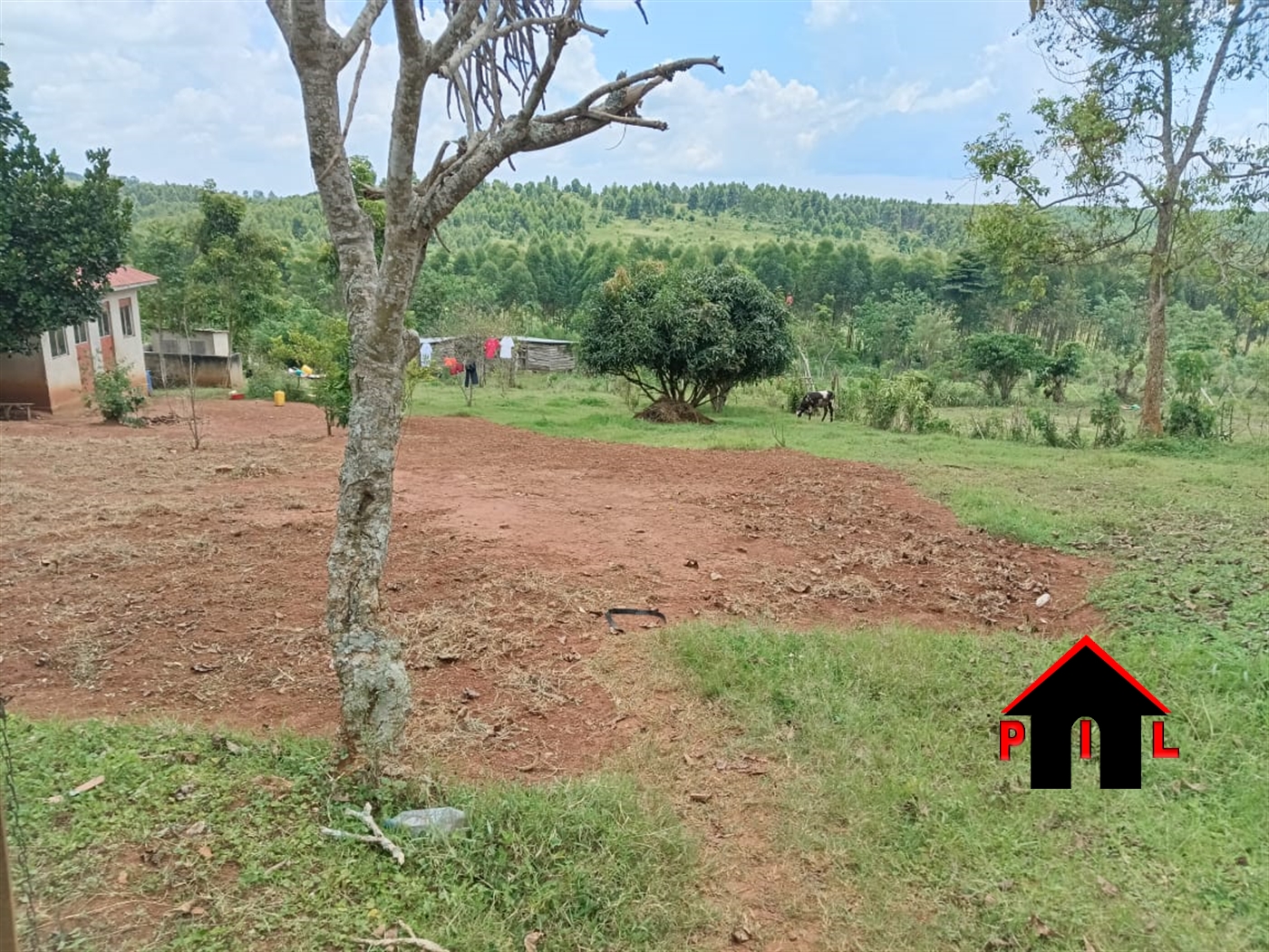 Commercial Land for sale in Kisoga Mukono